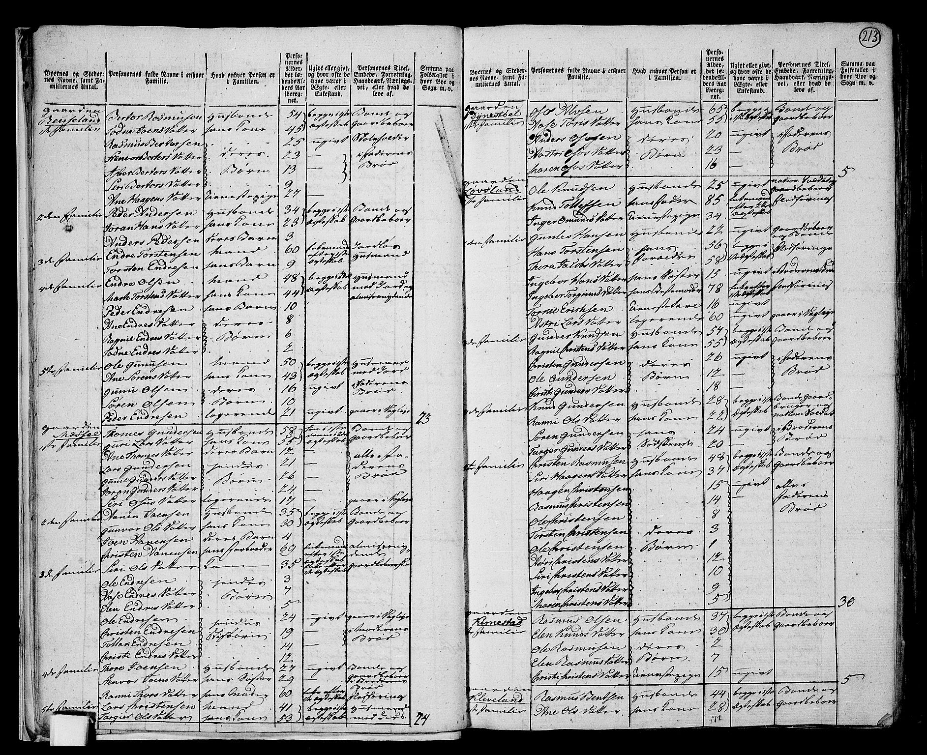 RA, 1801 census for 1024P Bjelland, 1801, p. 212b-213a