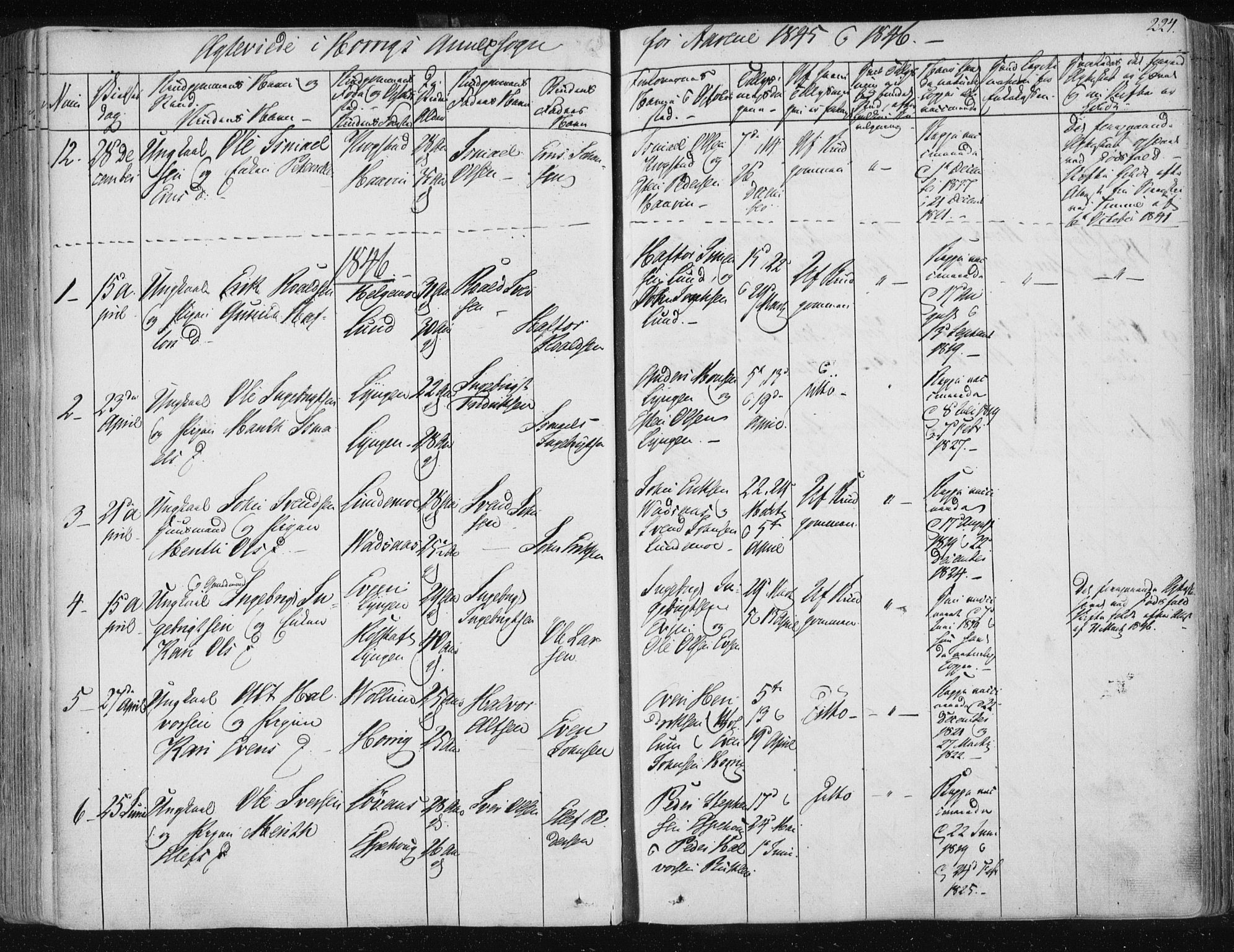 Ministerialprotokoller, klokkerbøker og fødselsregistre - Sør-Trøndelag, AV/SAT-A-1456/687/L0998: Parish register (official) no. 687A05 /2, 1843-1849, p. 224