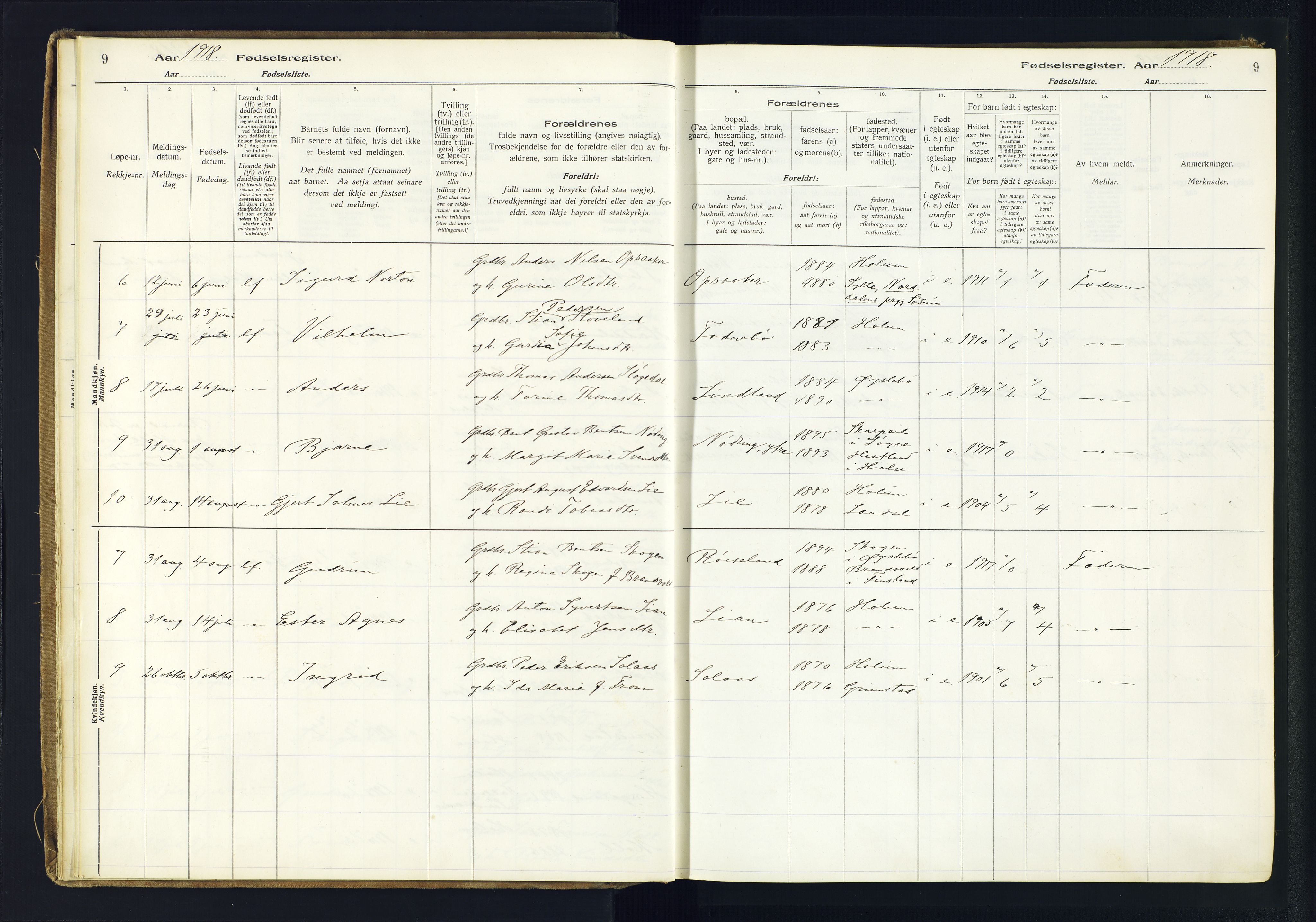 Holum sokneprestkontor, SAK/1111-0022/J/Ja/L0003: Birth register no. II.6.12, 1916-1982, p. 9