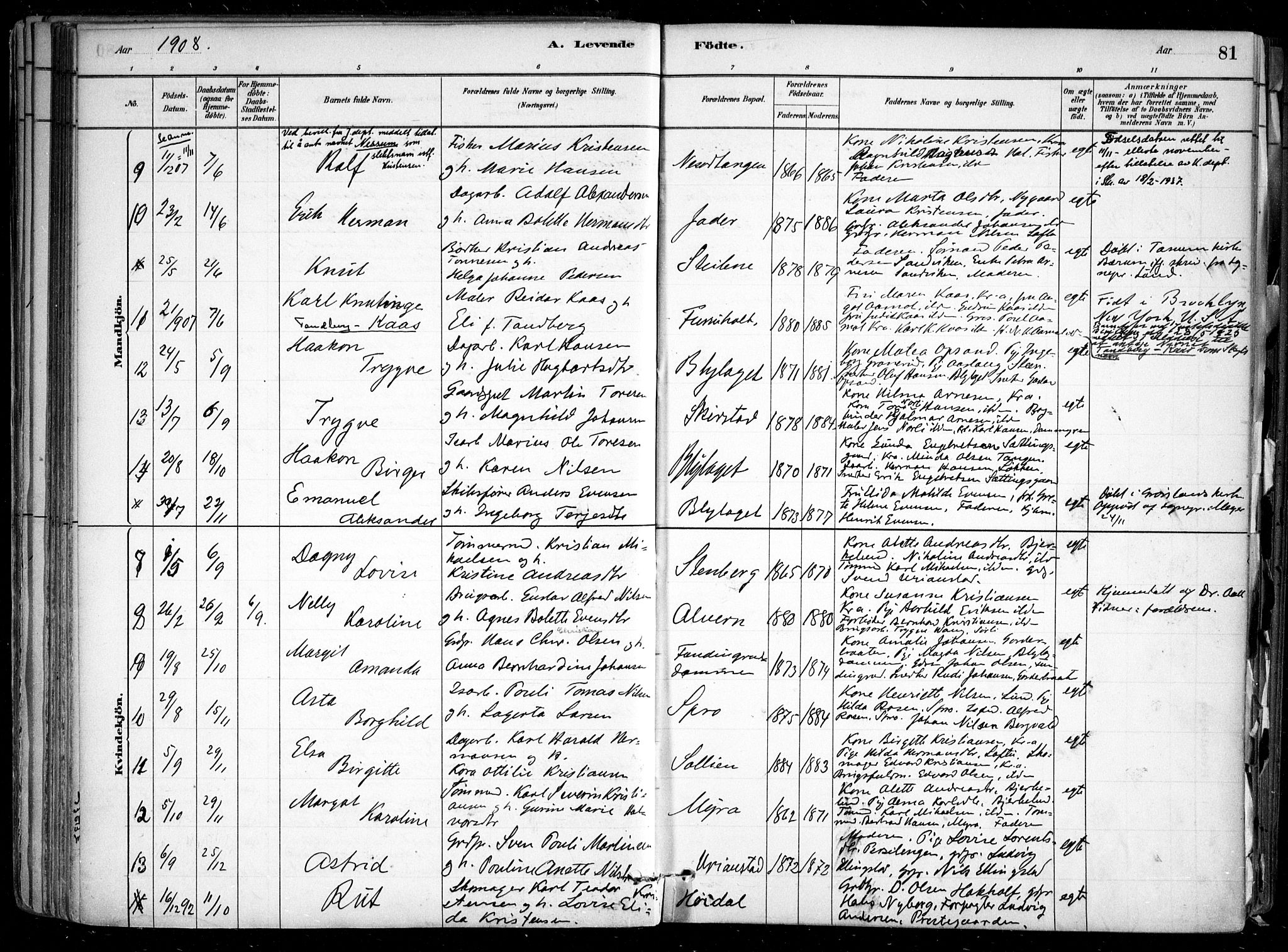 Nesodden prestekontor Kirkebøker, SAO/A-10013/F/Fa/L0009: Parish register (official) no. I 9, 1880-1915, p. 81