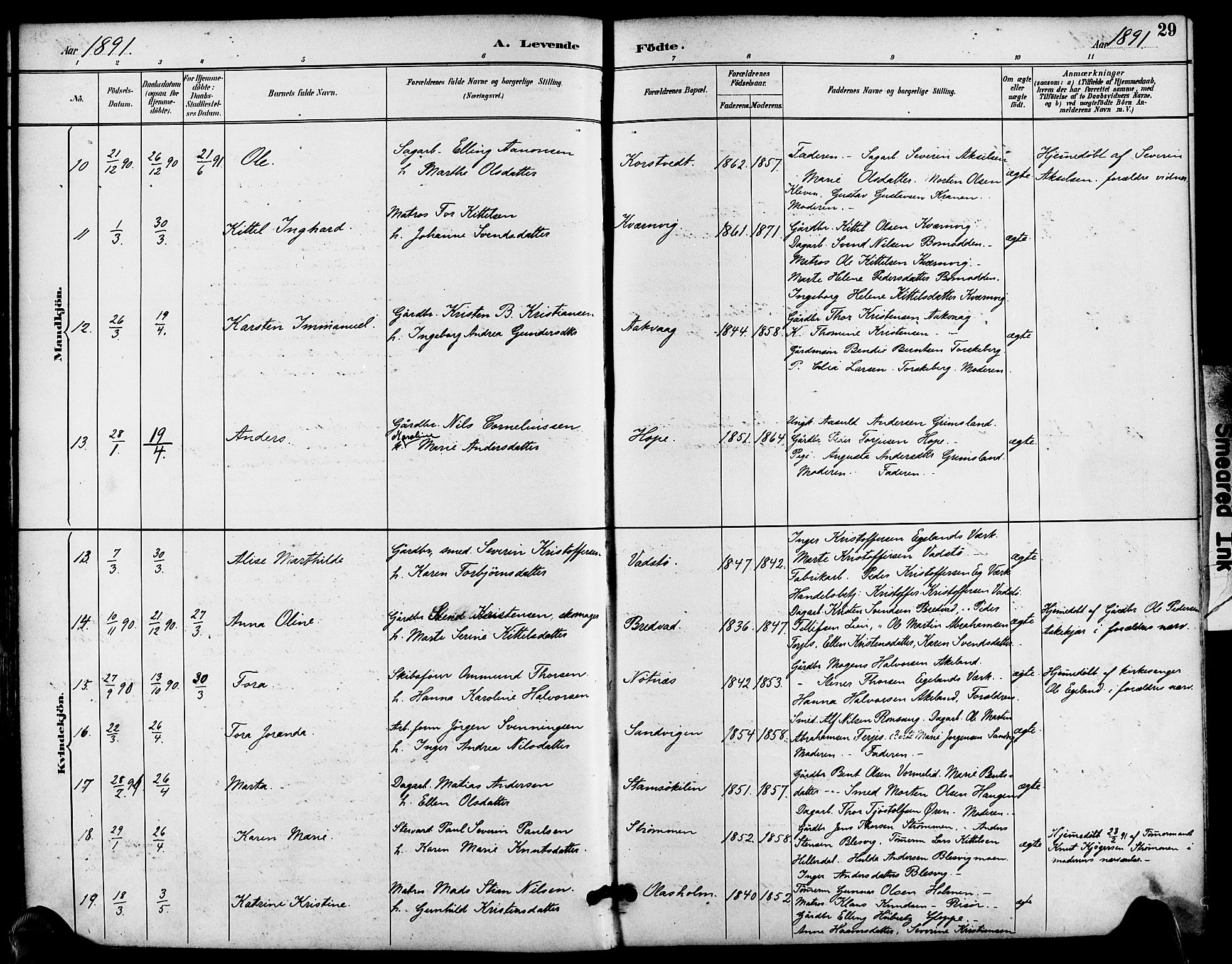 Søndeled sokneprestkontor, SAK/1111-0038/F/Fa/L0005: Parish register (official) no. A 5, 1889-1899, p. 29