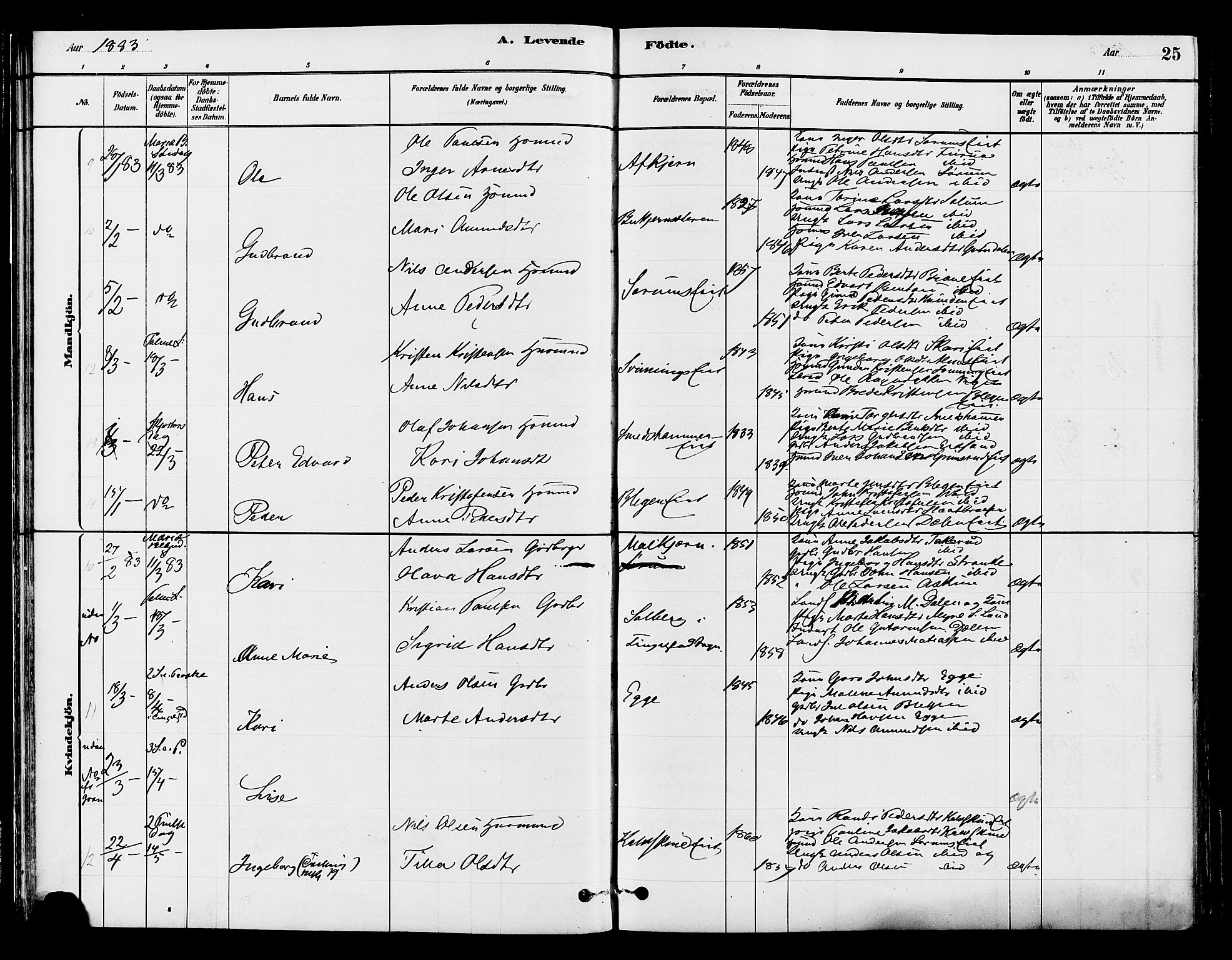 Gran prestekontor, SAH/PREST-112/H/Ha/Haa/L0015: Parish register (official) no. 15, 1880-1888, p. 25