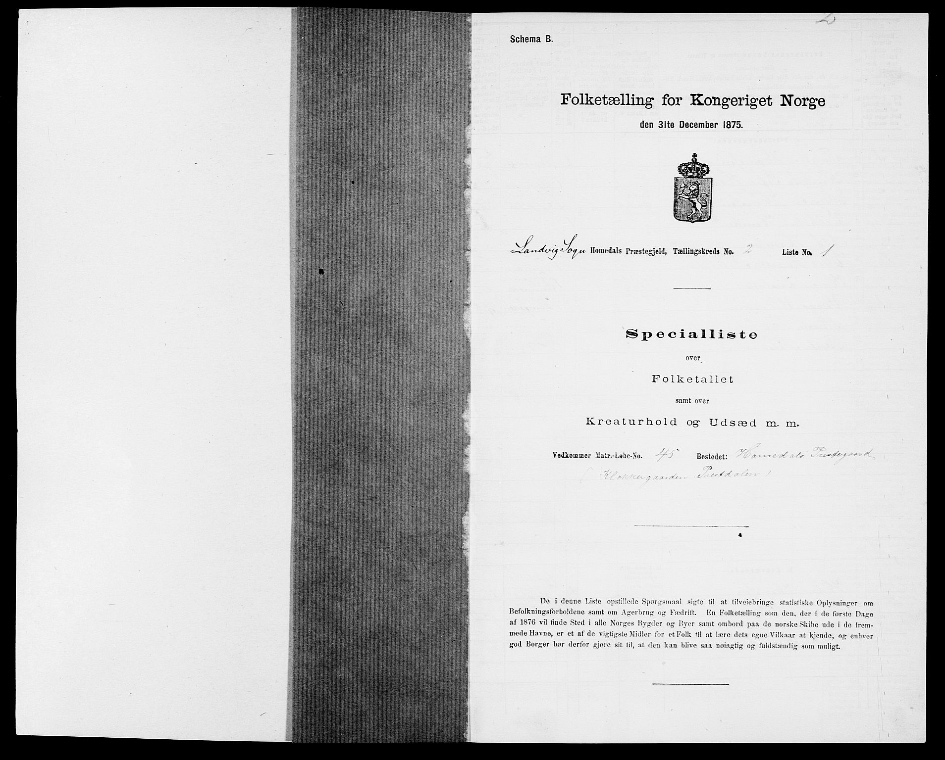 SAK, 1875 census for 0924P Homedal, 1875, p. 529
