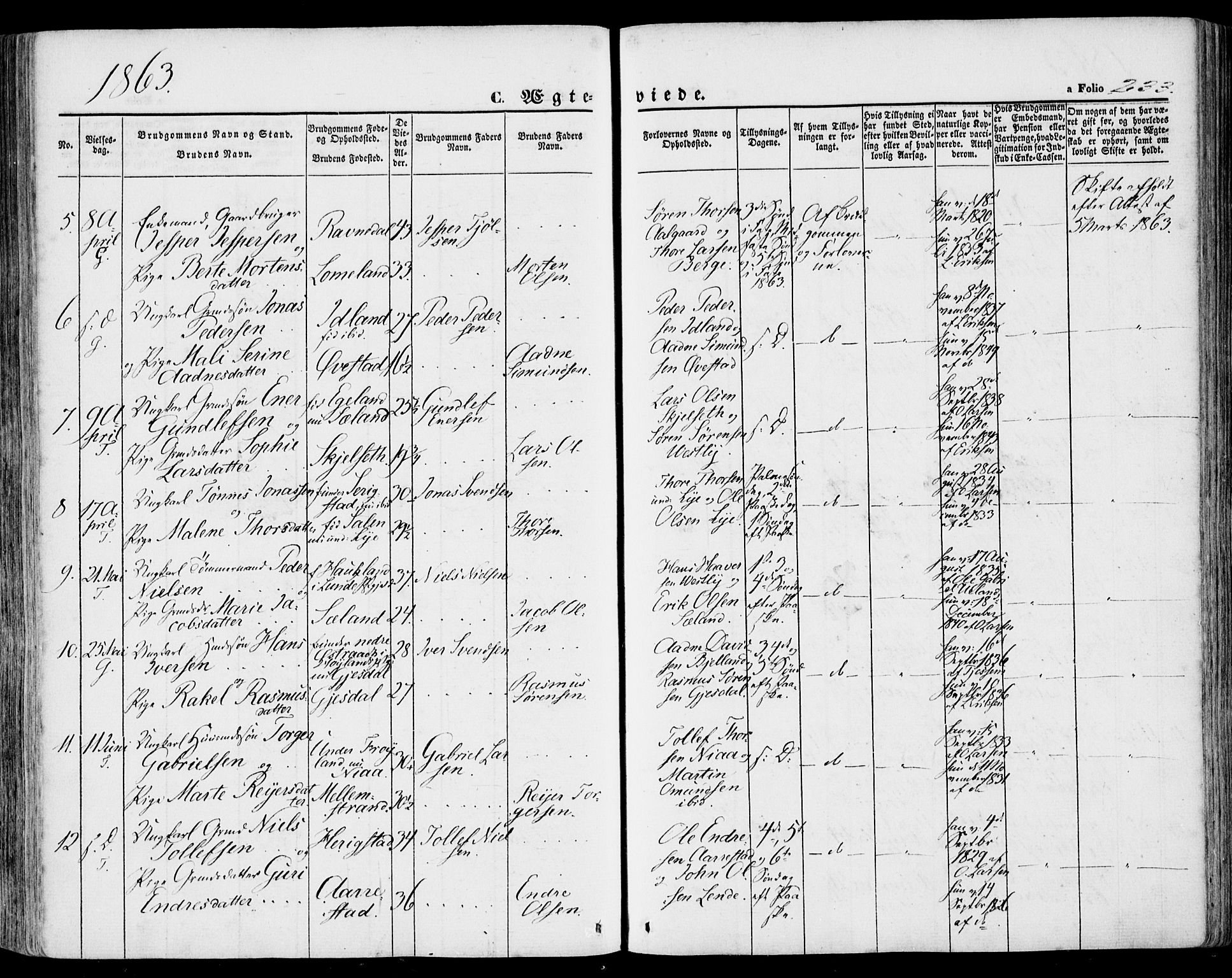 Lye sokneprestkontor, SAST/A-101794/001/30BA/L0007: Parish register (official) no. A 6, 1856-1871, p. 233
