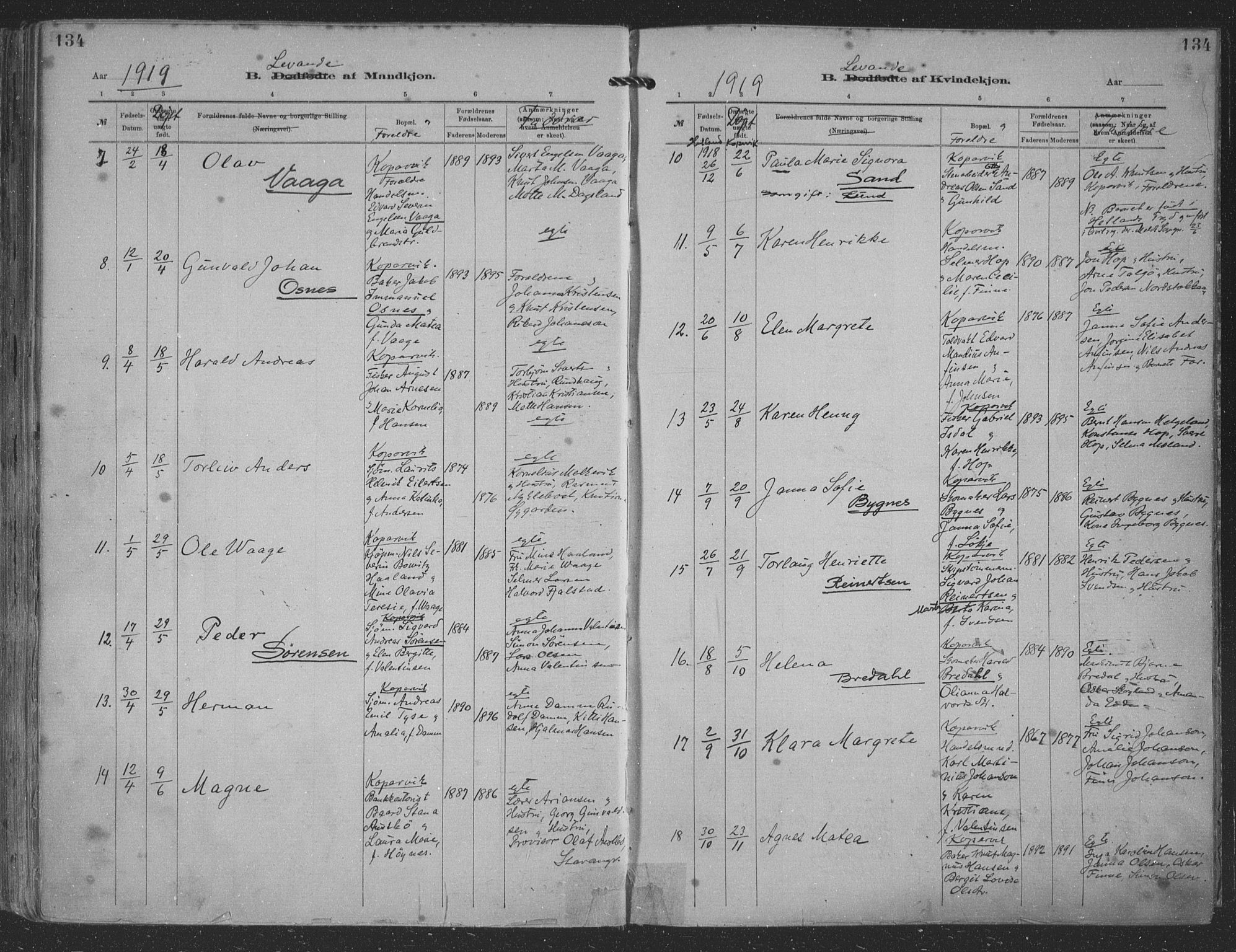 Kopervik sokneprestkontor, AV/SAST-A-101850/H/Ha/Haa/L0001: Parish register (official) no. A 1, 1880-1919, p. 134