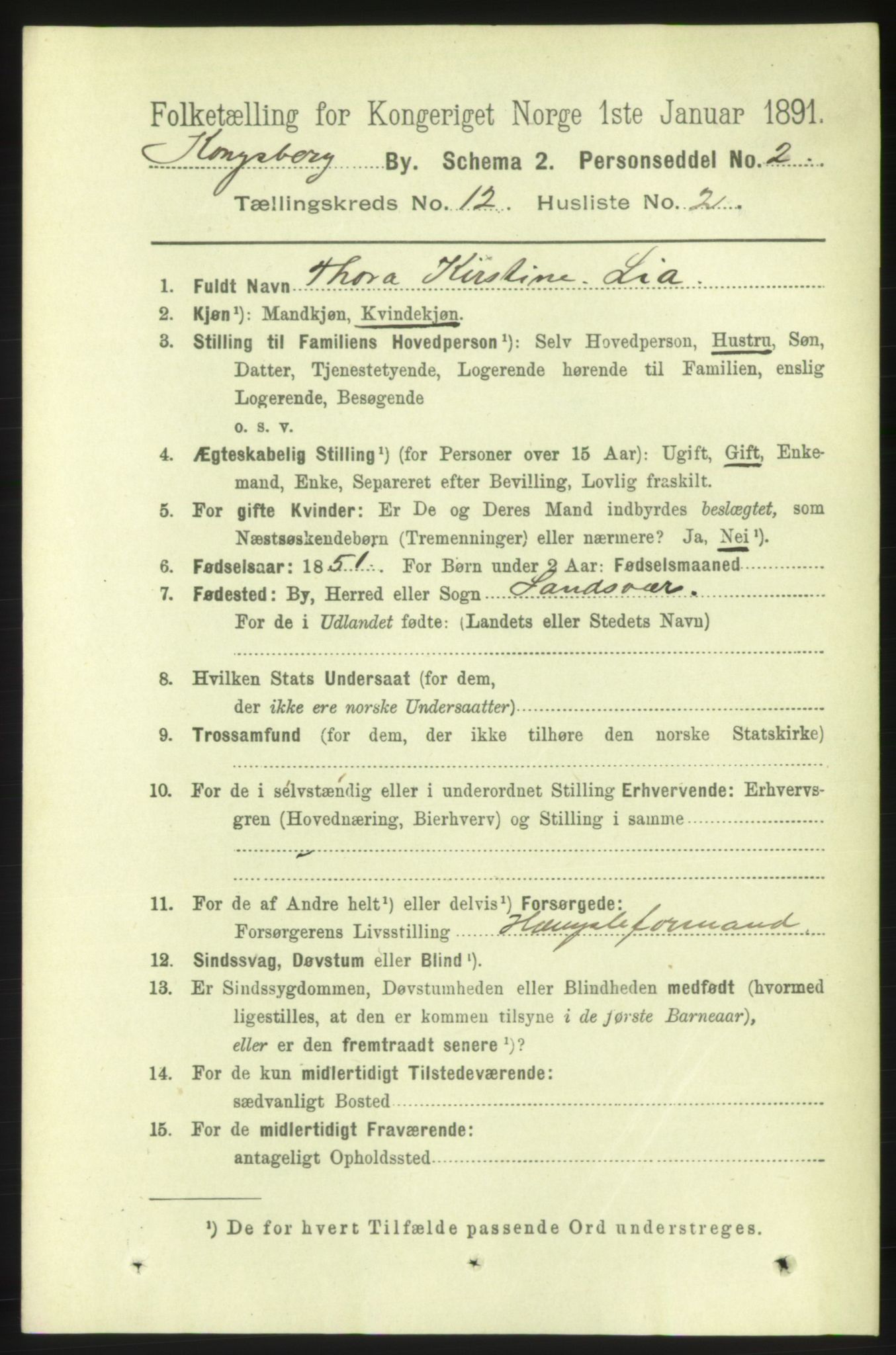 RA, 1891 census for 0604 Kongsberg, 1891, p. 6944