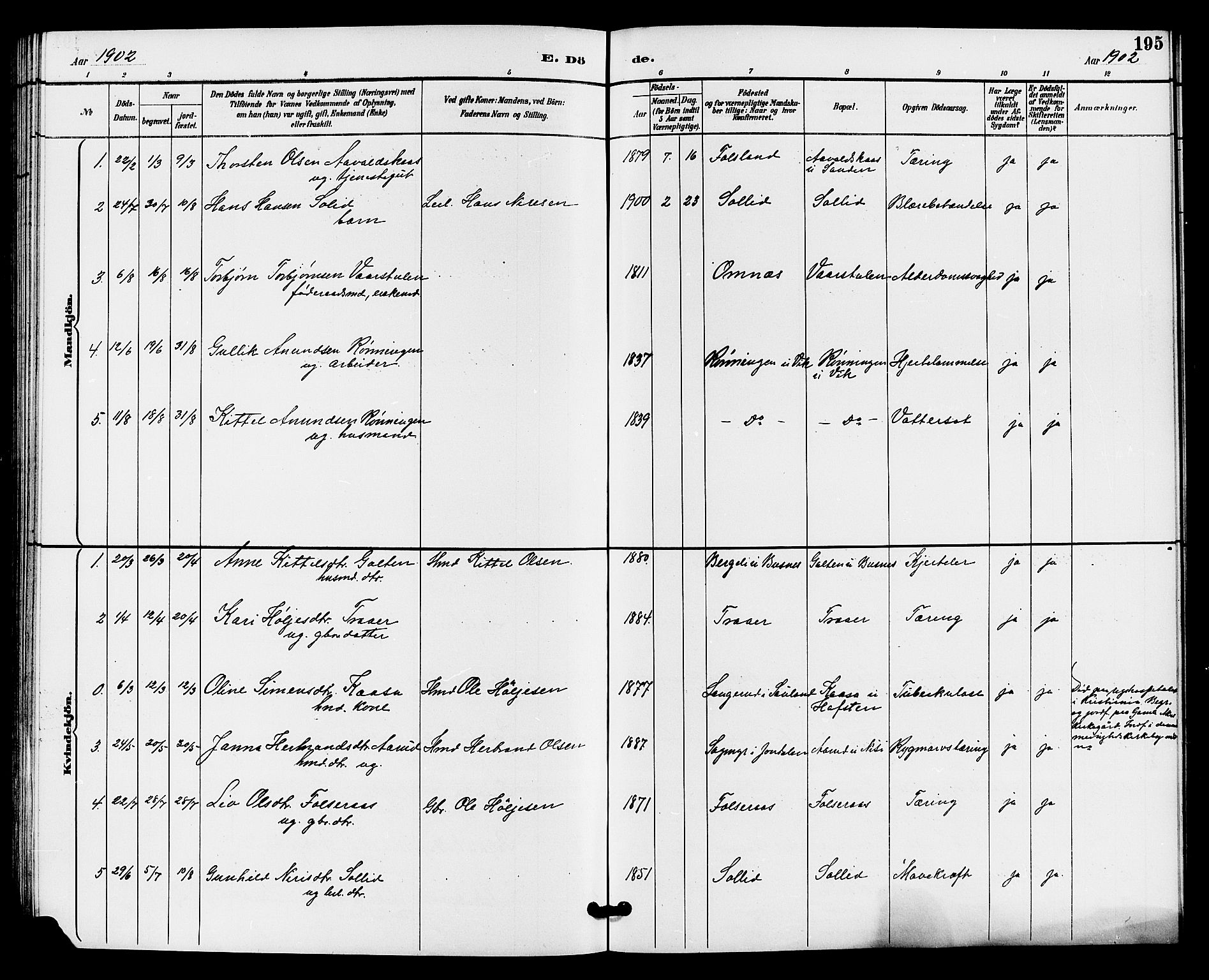 Gransherad kirkebøker, SAKO/A-267/G/Ga/L0003: Parish register (copy) no. I 3, 1887-1915, p. 195