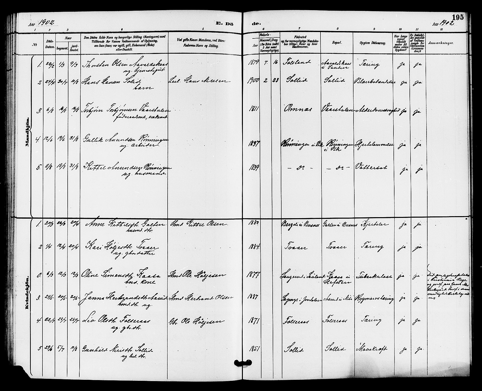 Gransherad kirkebøker, AV/SAKO-A-267/G/Ga/L0003: Parish register (copy) no. I 3, 1887-1915, p. 195