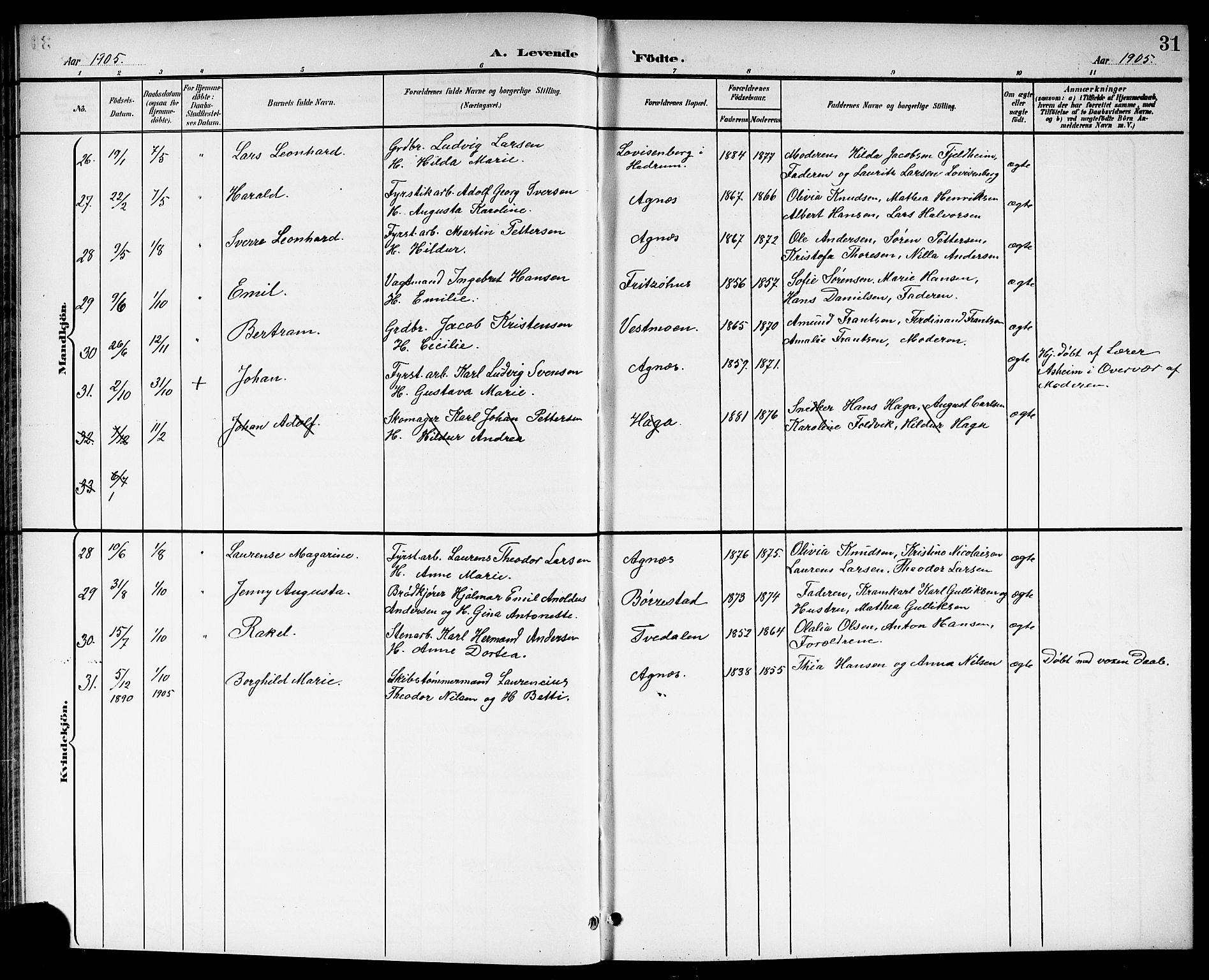Brunlanes kirkebøker, SAKO/A-342/G/Ga/L0004: Parish register (copy) no. I 4, 1898-1921, p. 31