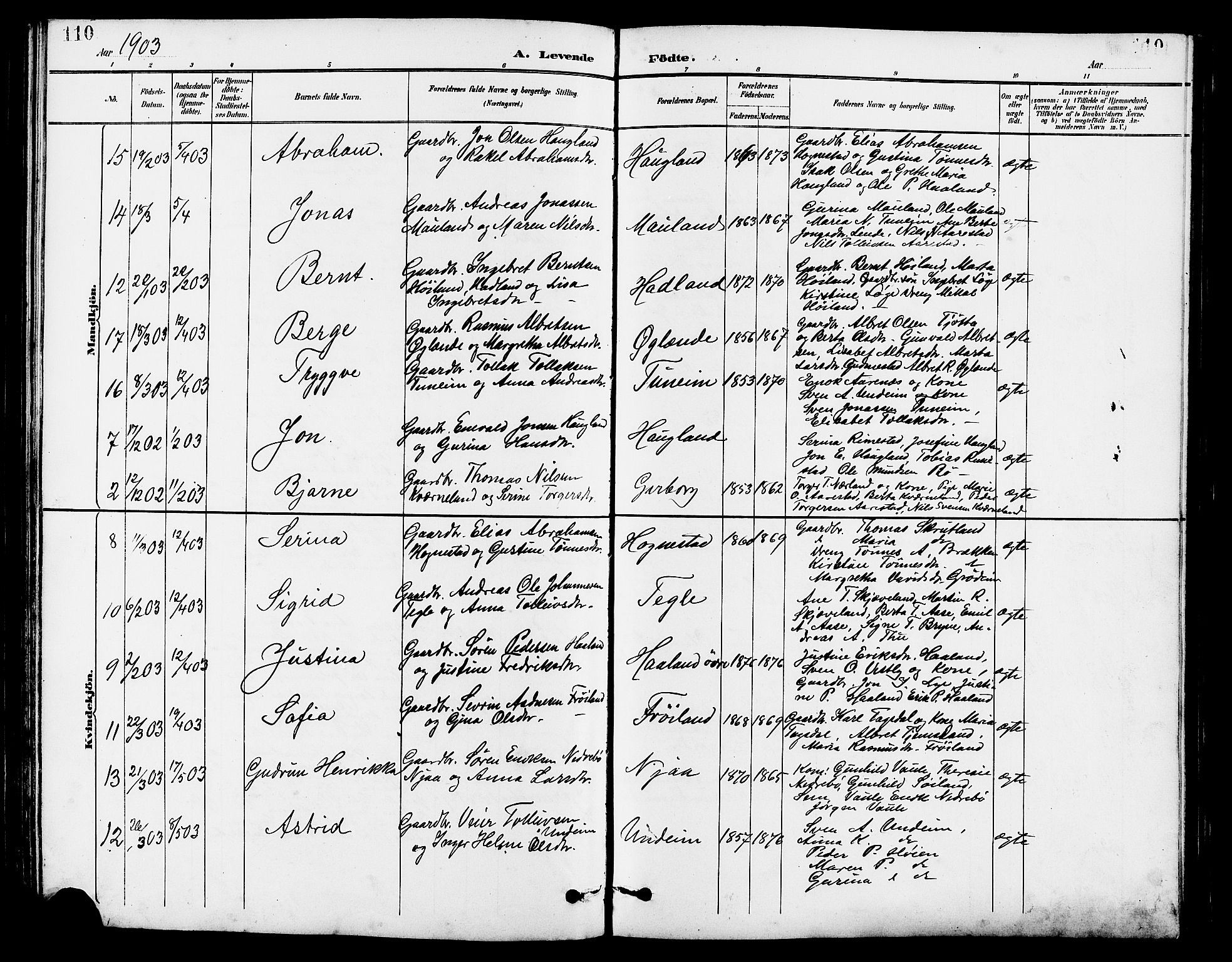 Lye sokneprestkontor, AV/SAST-A-101794/001/30BB/L0007: Parish register (copy) no. B 8, 1889-1909, p. 110