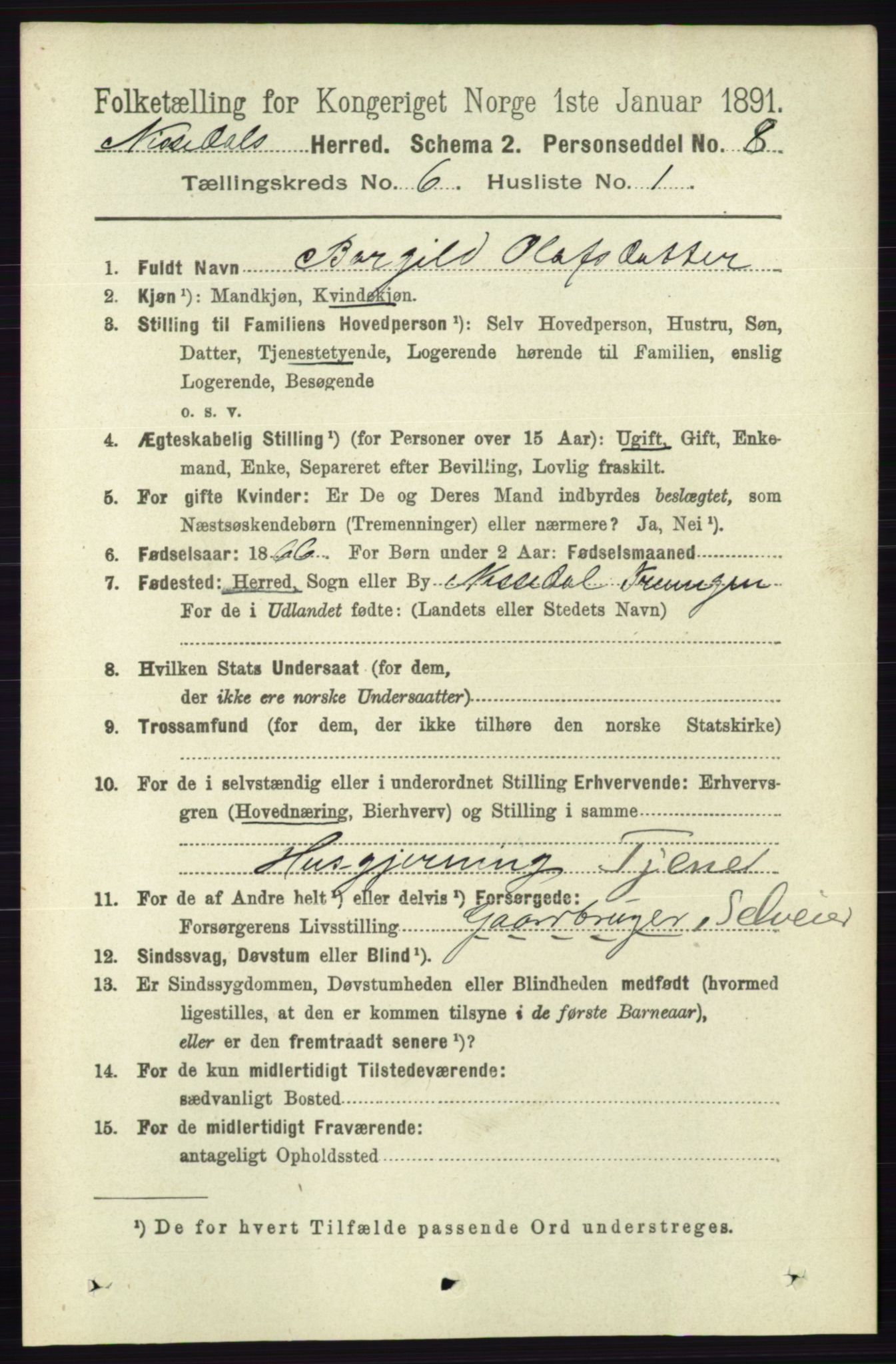 RA, 1891 census for 0830 Nissedal, 1891, p. 1339