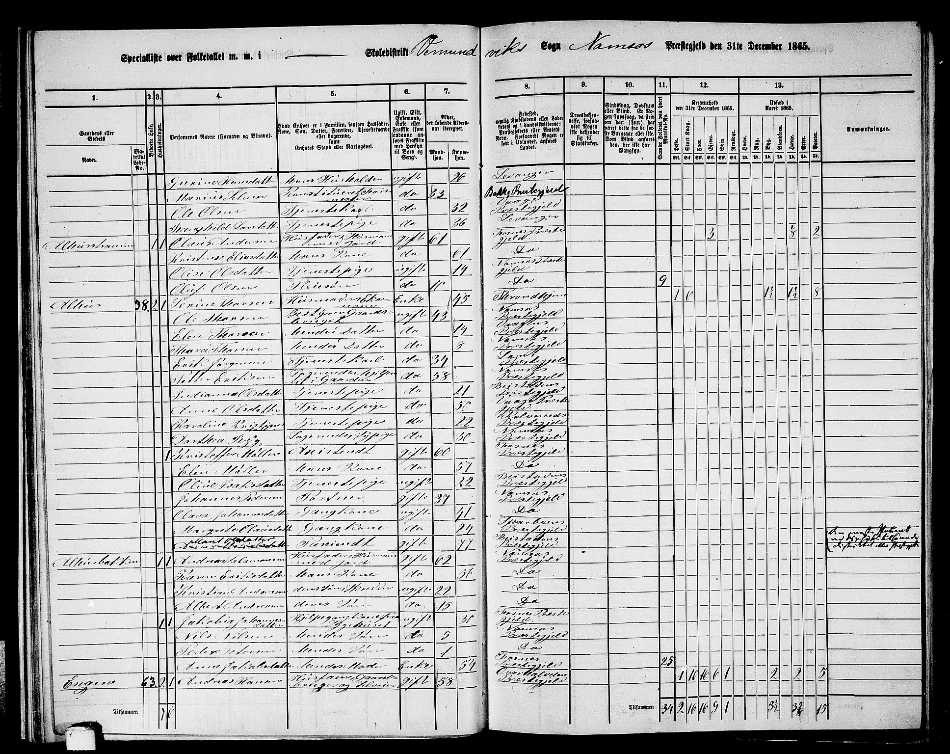 RA, 1865 census for Namsos/Vemundvik og Sævik, 1865, p. 27