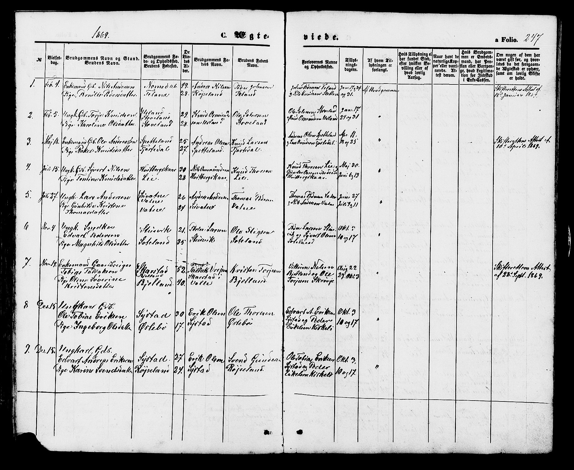 Holum sokneprestkontor, SAK/1111-0022/F/Fb/Fba/L0004: Parish register (copy) no. B 4, 1867-1890, p. 247