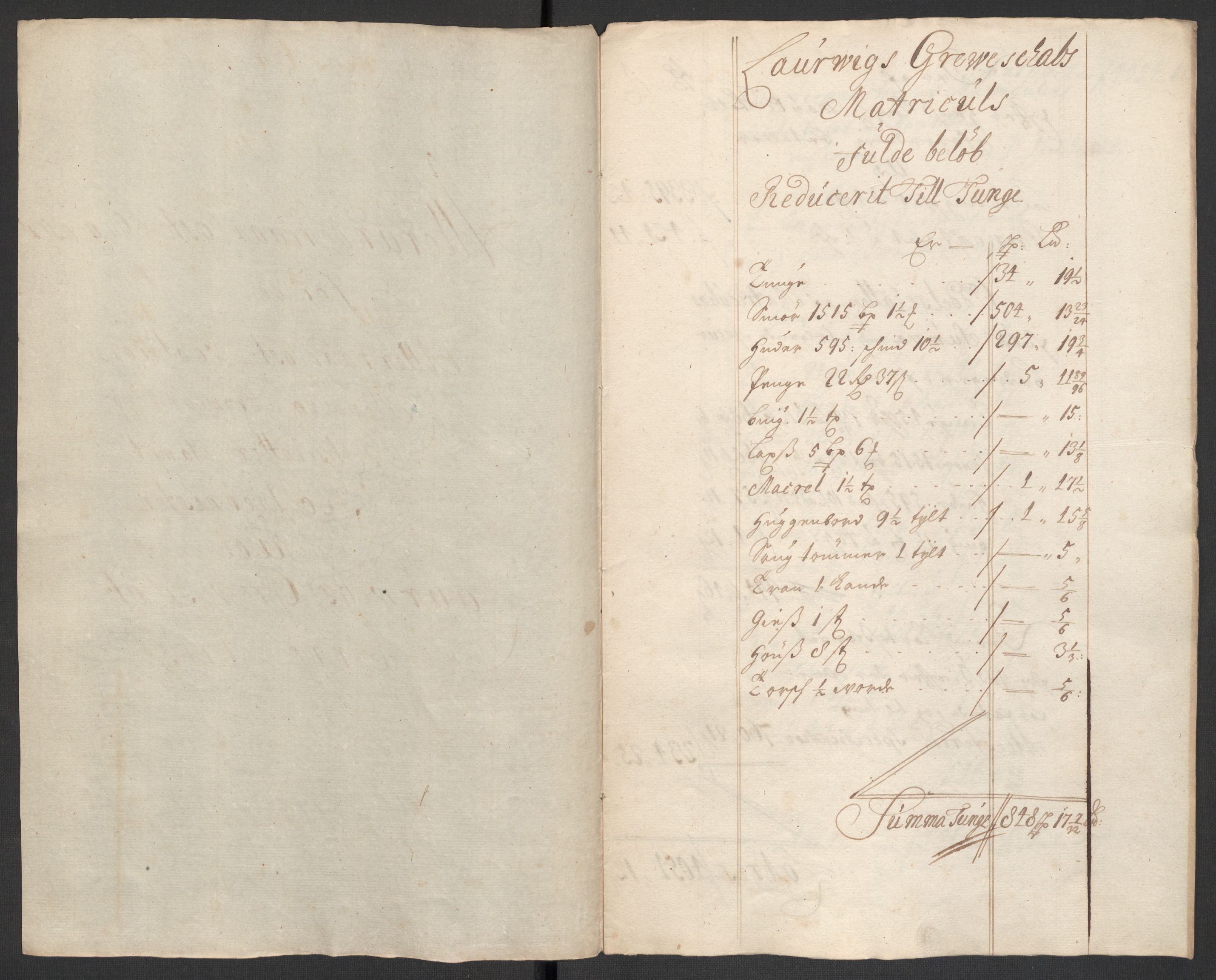 Rentekammeret inntil 1814, Reviderte regnskaper, Fogderegnskap, RA/EA-4092/R33/L1977: Fogderegnskap Larvik grevskap, 1702-1703, p. 91