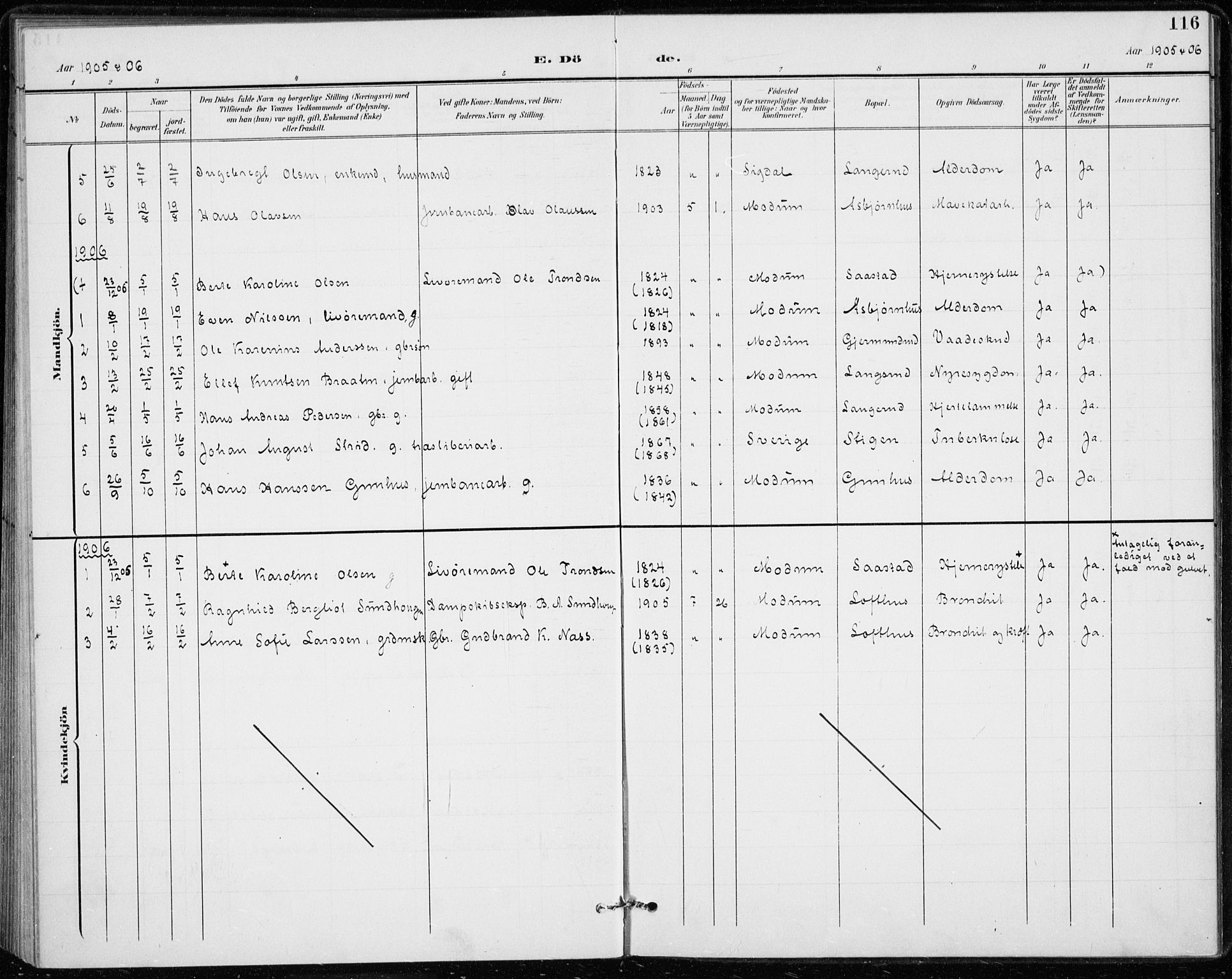 Modum kirkebøker, AV/SAKO-A-234/F/Fa/L0020: Parish register (official) no. 20, 1900-1917, p. 116