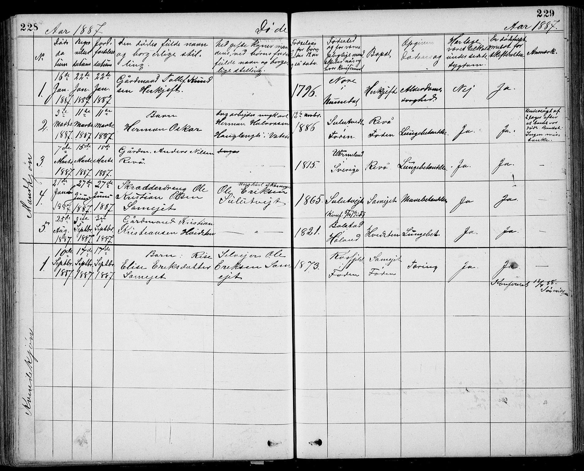 Ramnes kirkebøker, SAKO/A-314/G/Gb/L0001: Parish register (copy) no. II 1, 1869-1904, p. 228-229