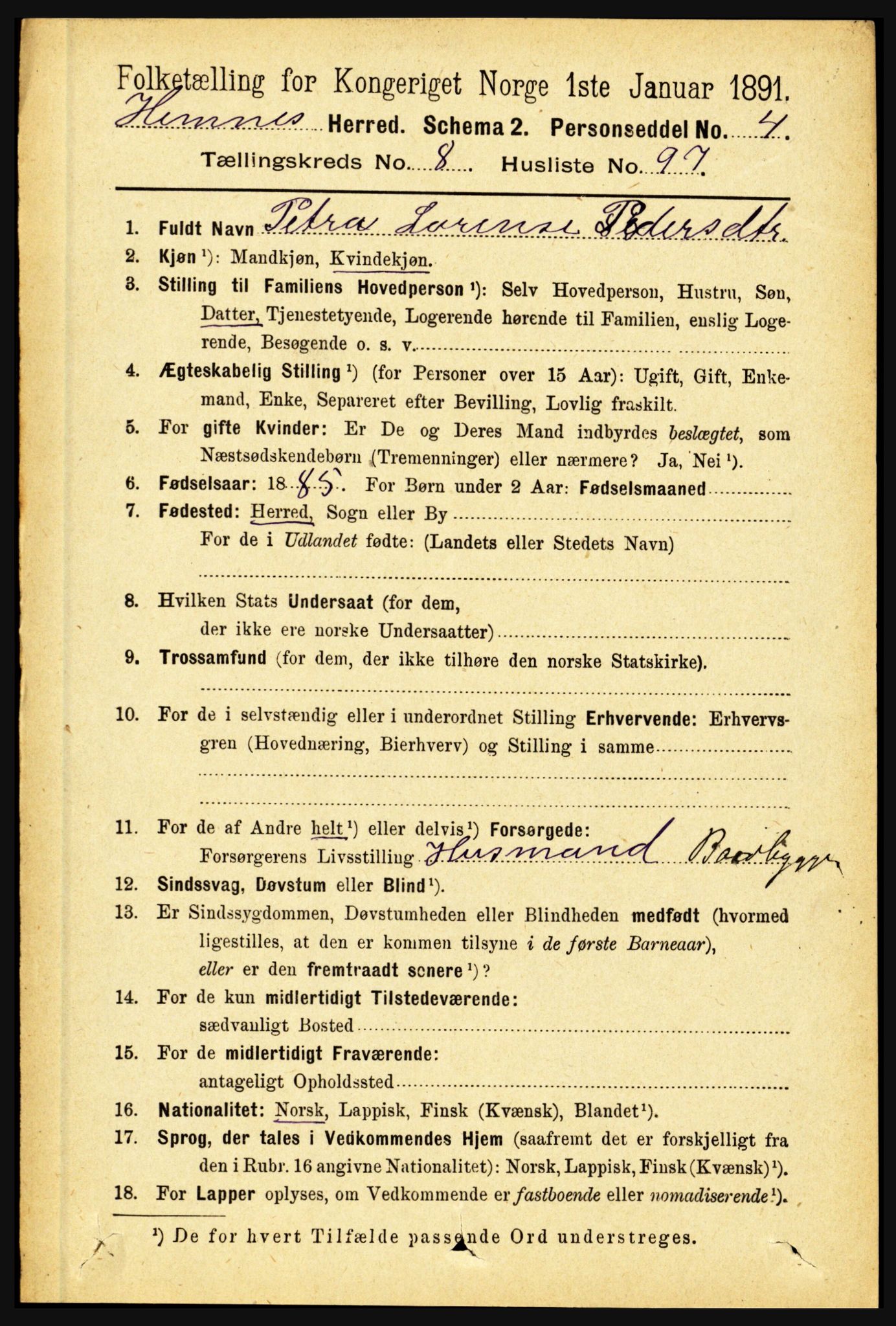 RA, 1891 census for 1832 Hemnes, 1891, p. 4245