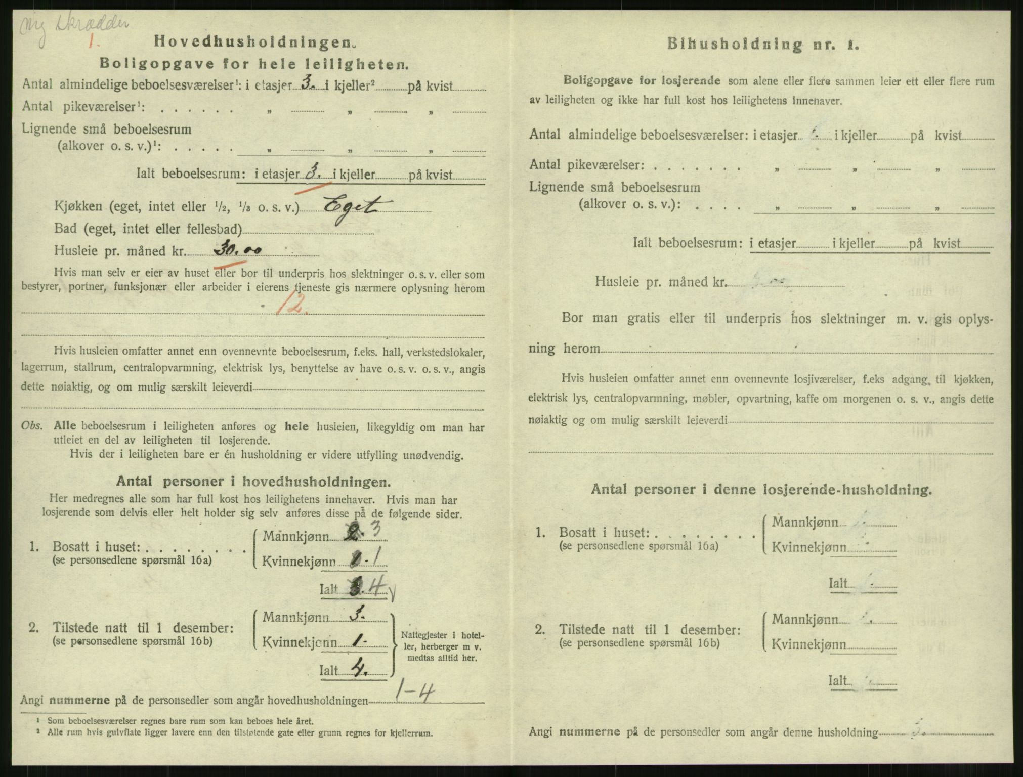 SAT, 1920 census for Levanger town, 1920, p. 1113