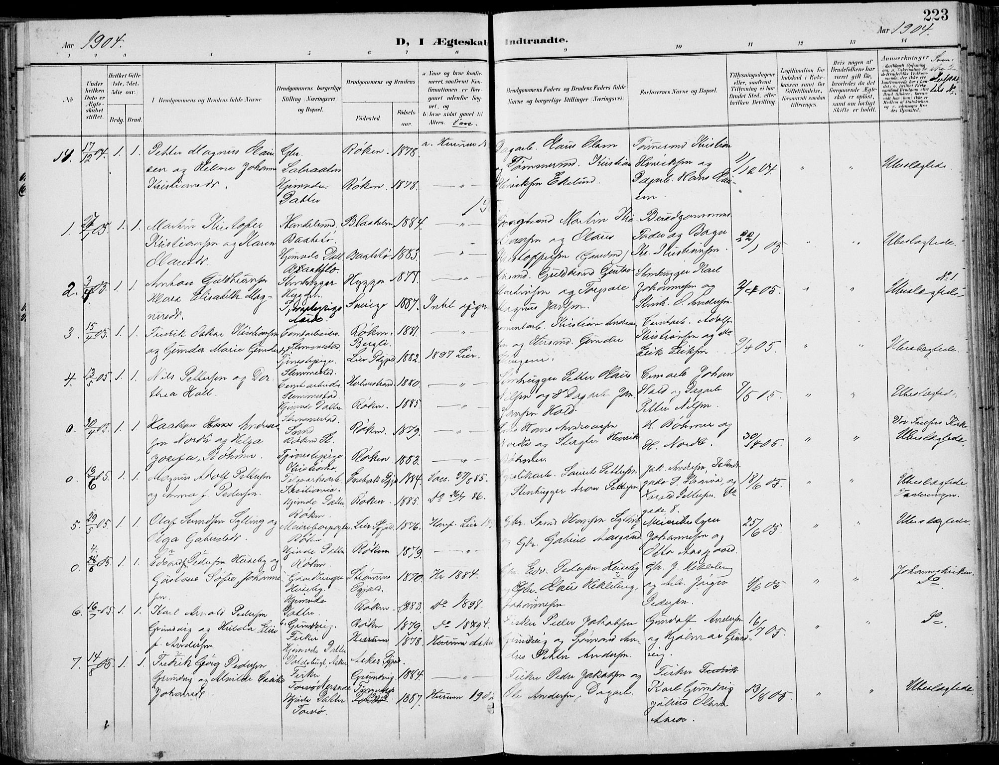 Røyken kirkebøker, AV/SAKO-A-241/F/Fa/L0009: Parish register (official) no. 9, 1898-1911, p. 223