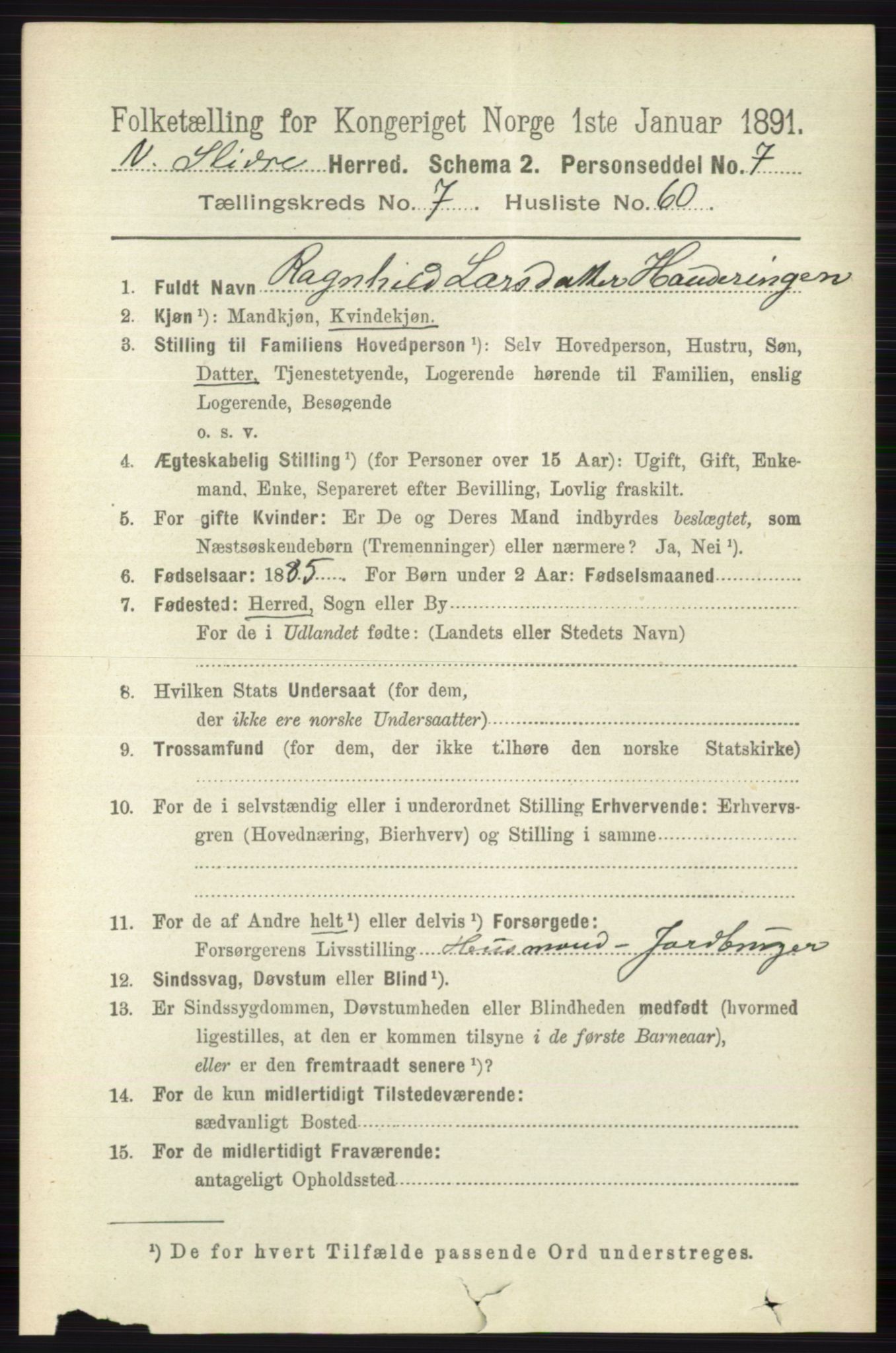 RA, 1891 census for 0543 Vestre Slidre, 1891, p. 2925