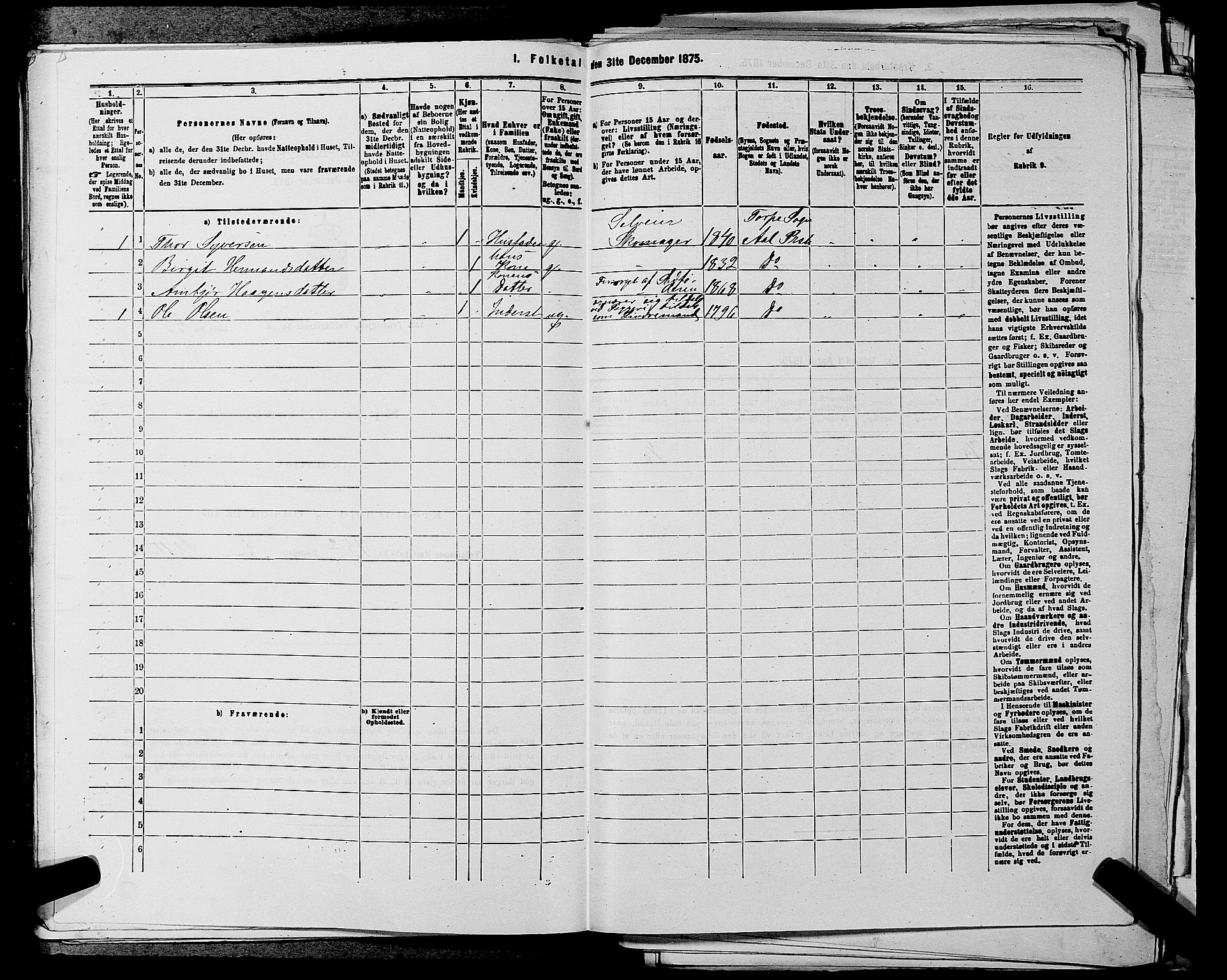 SAKO, 1875 census for 0619P Ål, 1875, p. 304