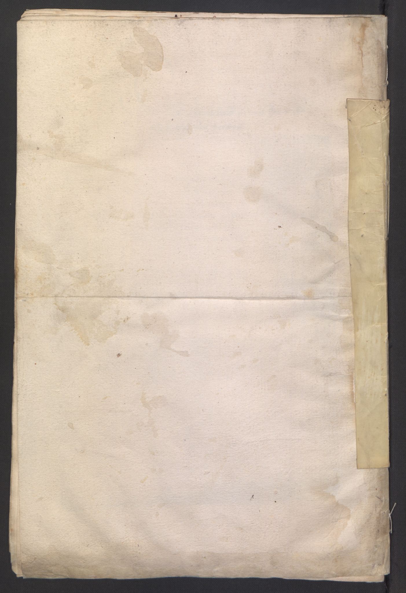 Stattholderembetet 1572-1771, RA/EA-2870/Ek/L0007/0001: Jordebøker til utlikning av rosstjeneste 1624-1626: / Adelsjordebøker, 1624-1625, p. 314