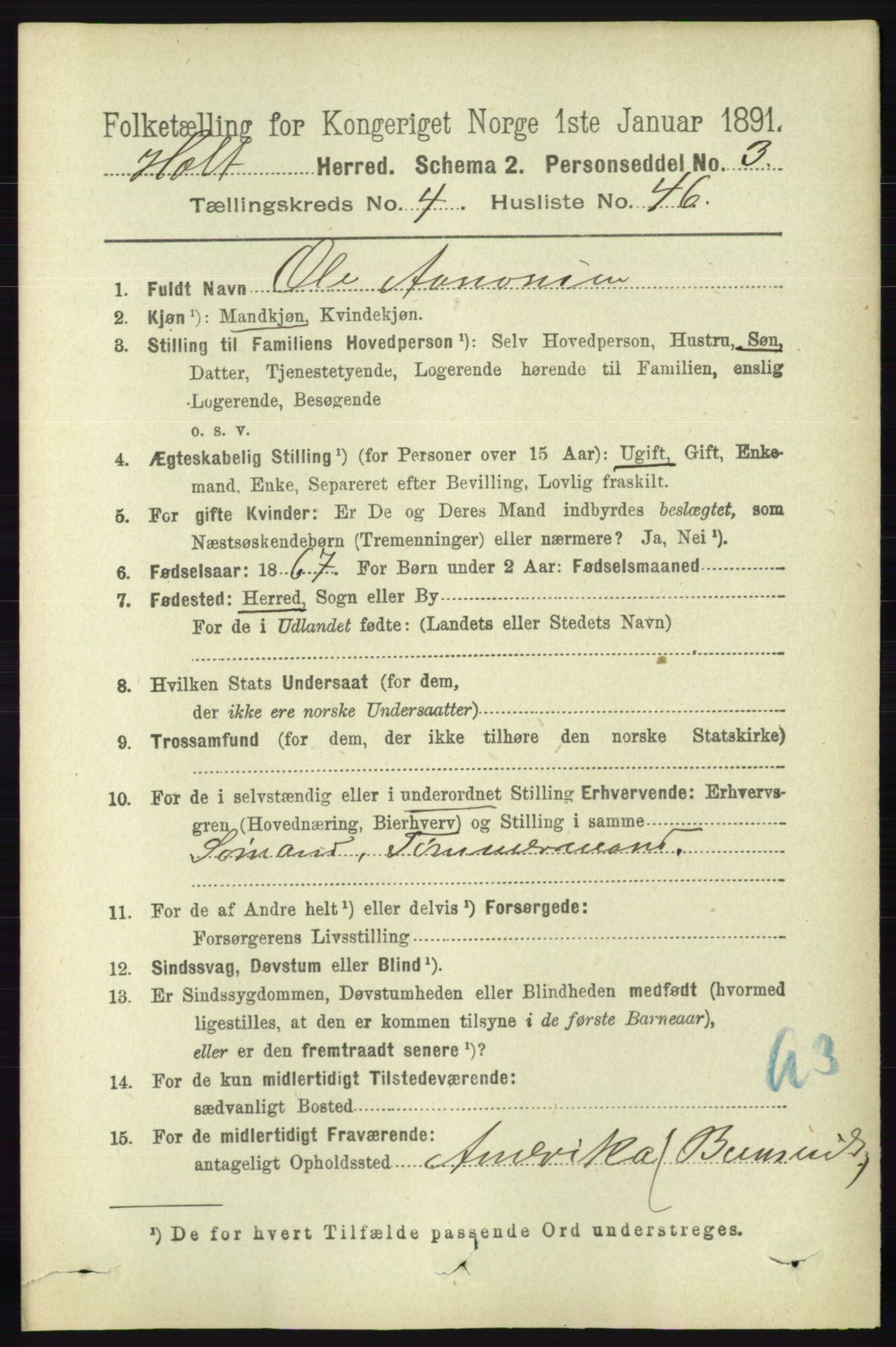 RA, 1891 census for 0914 Holt, 1891, p. 1954