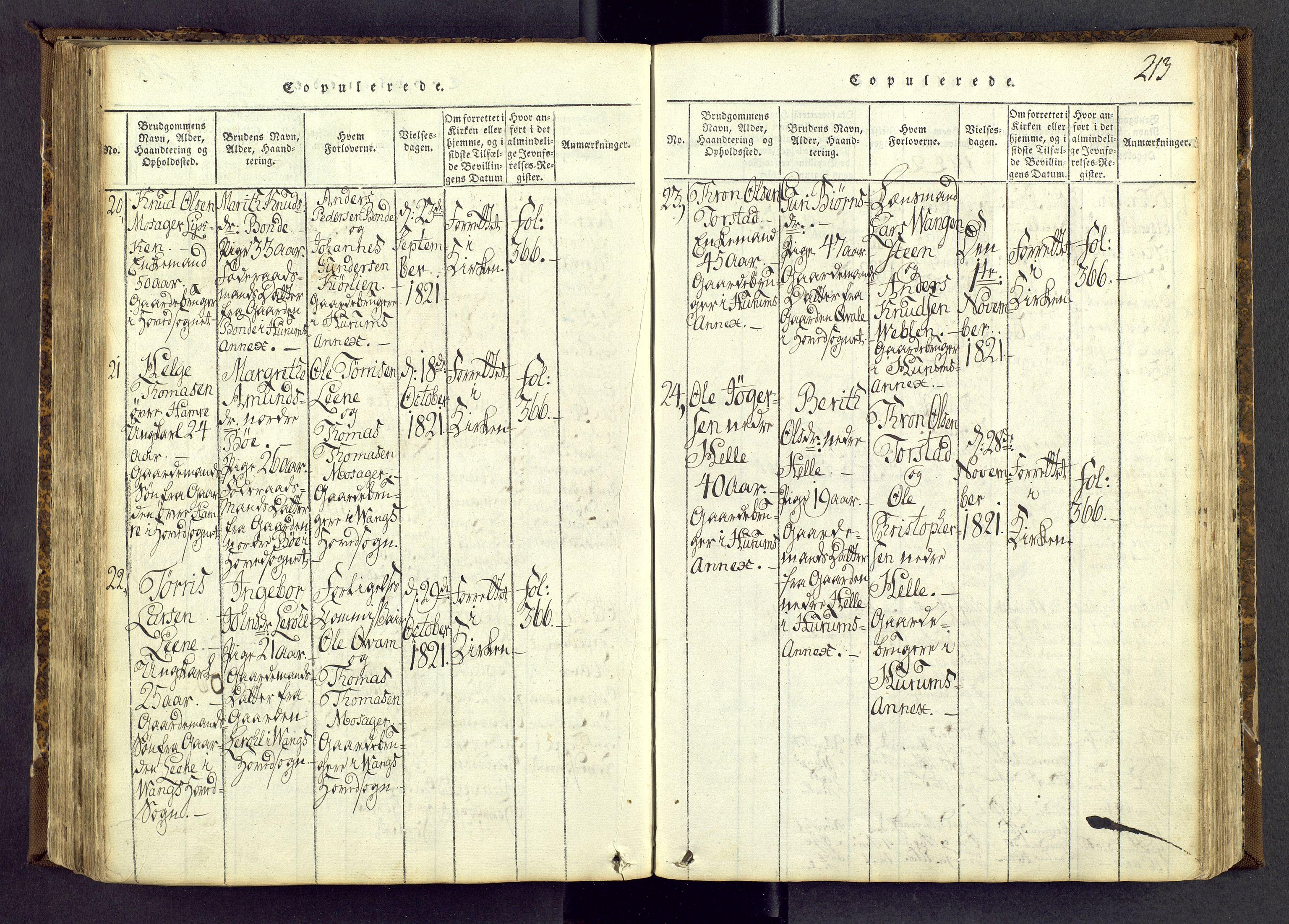 Vang prestekontor, Valdres, AV/SAH-PREST-140/H/Ha/L0004: Parish register (official) no. 4, 1814-1831, p. 213