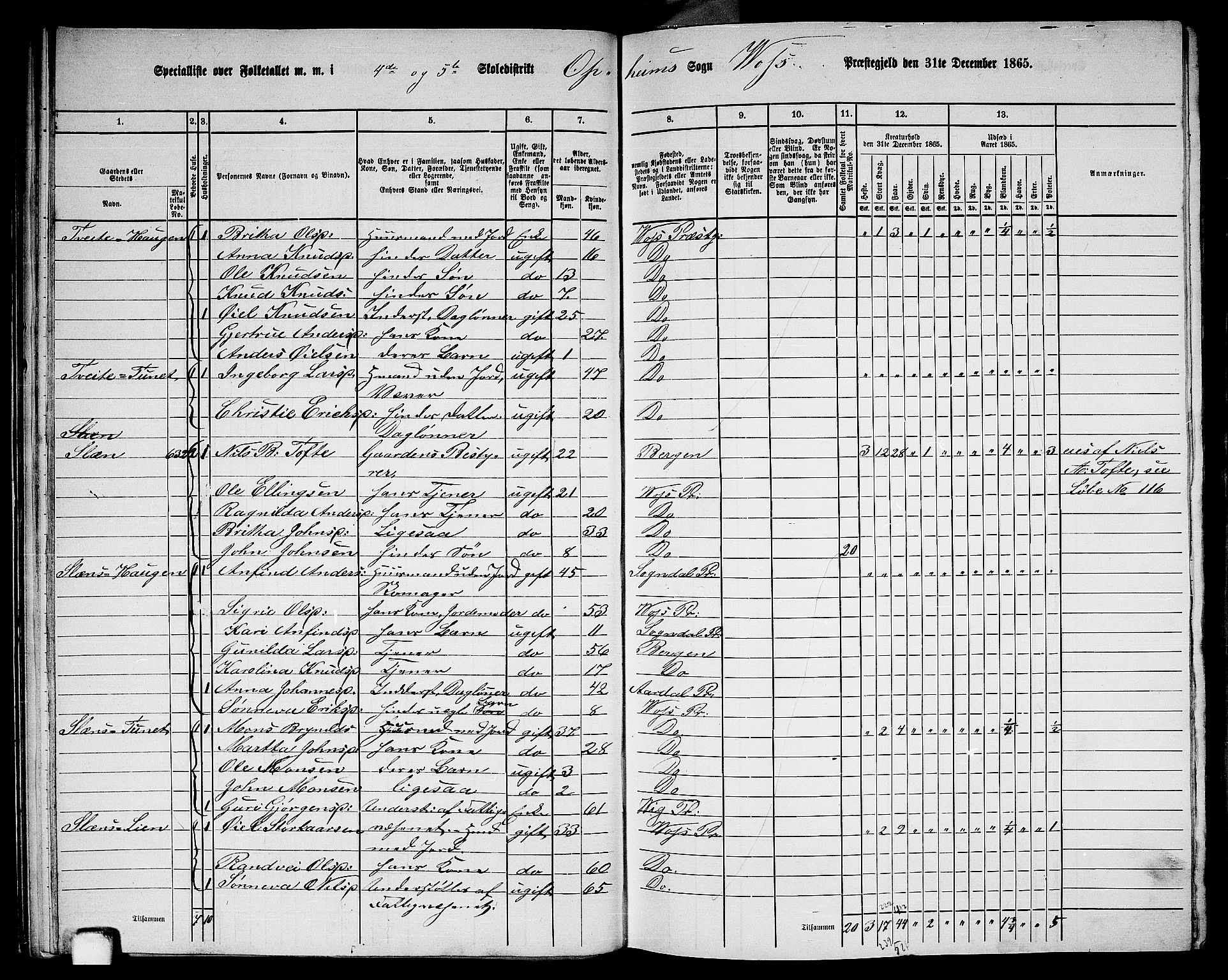 RA, 1865 census for Voss, 1865, p. 257