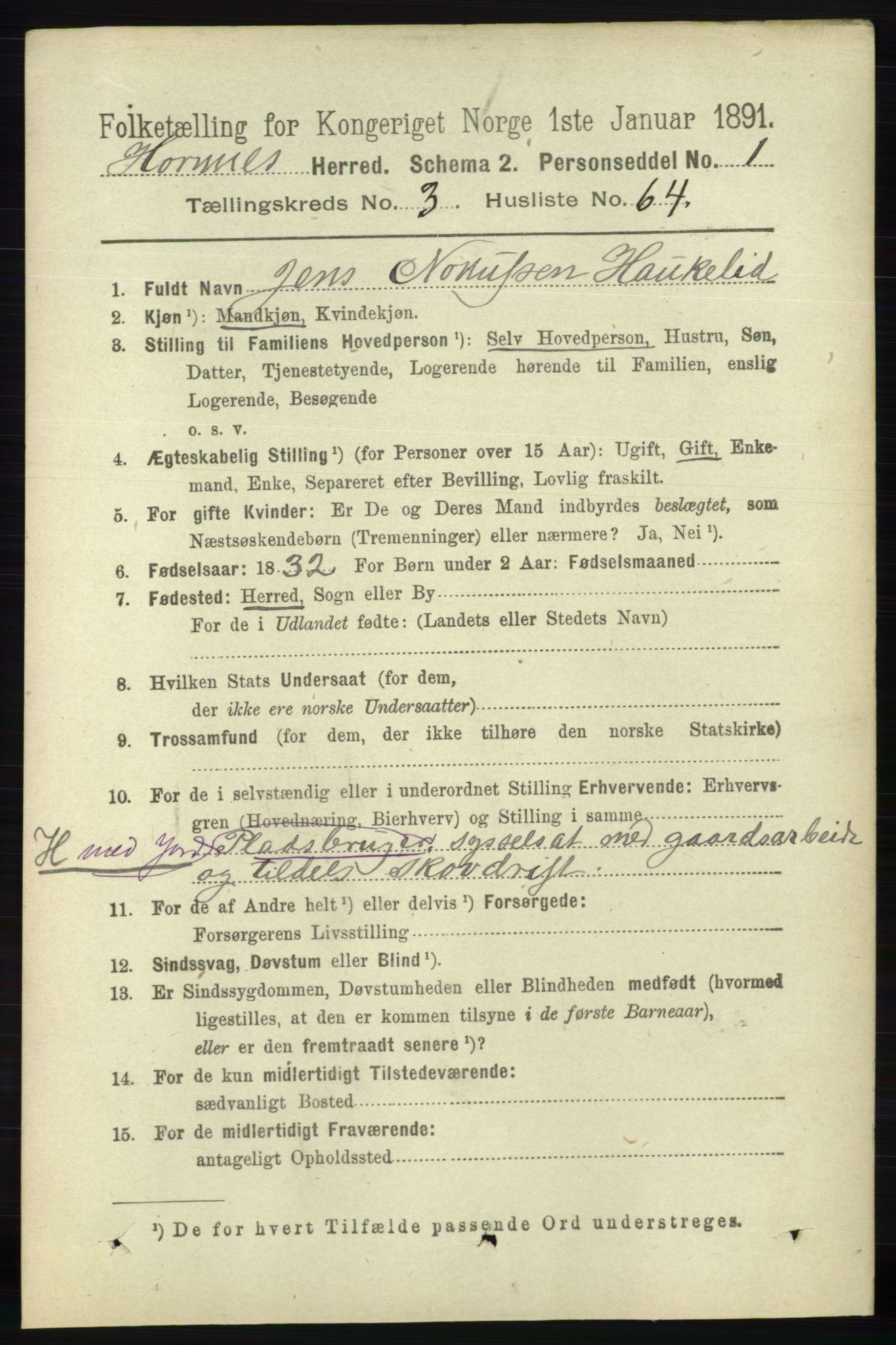 RA, 1891 census for 0936 Hornnes, 1891, p. 1008