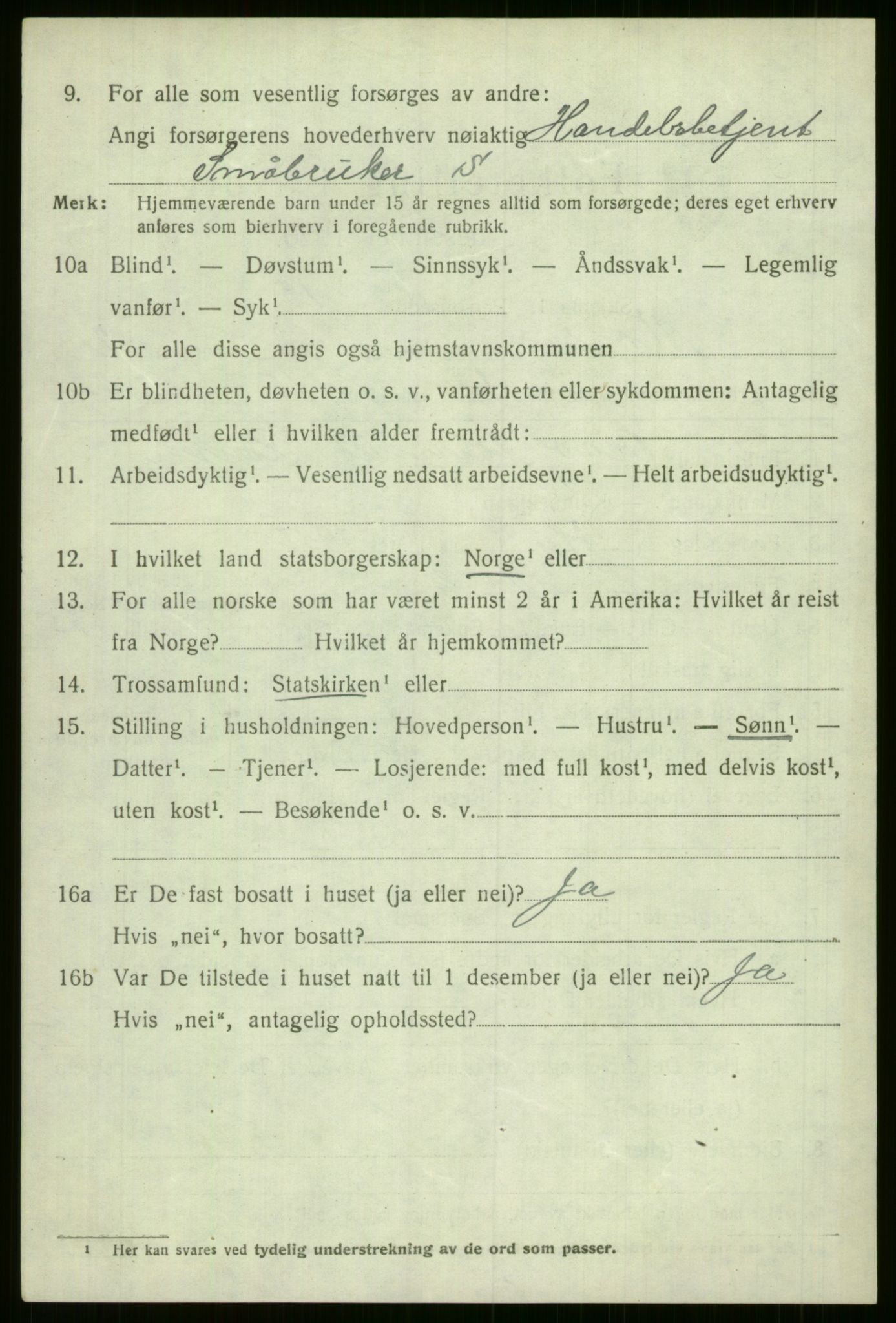 SAB, 1920 census for Voss, 1920, p. 3528