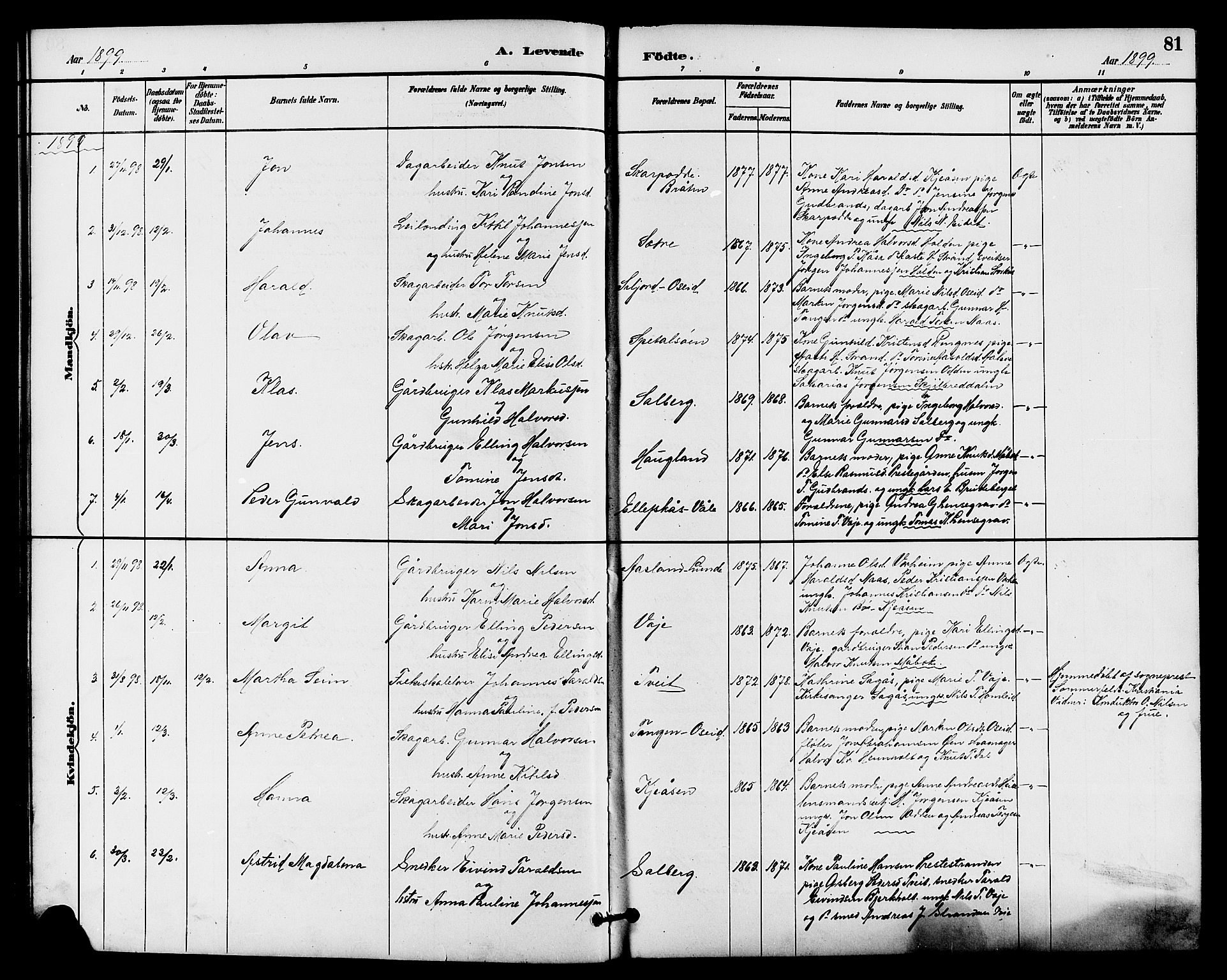 Drangedal kirkebøker, SAKO/A-258/G/Ga/L0003: Parish register (copy) no. I 3, 1887-1906, p. 81