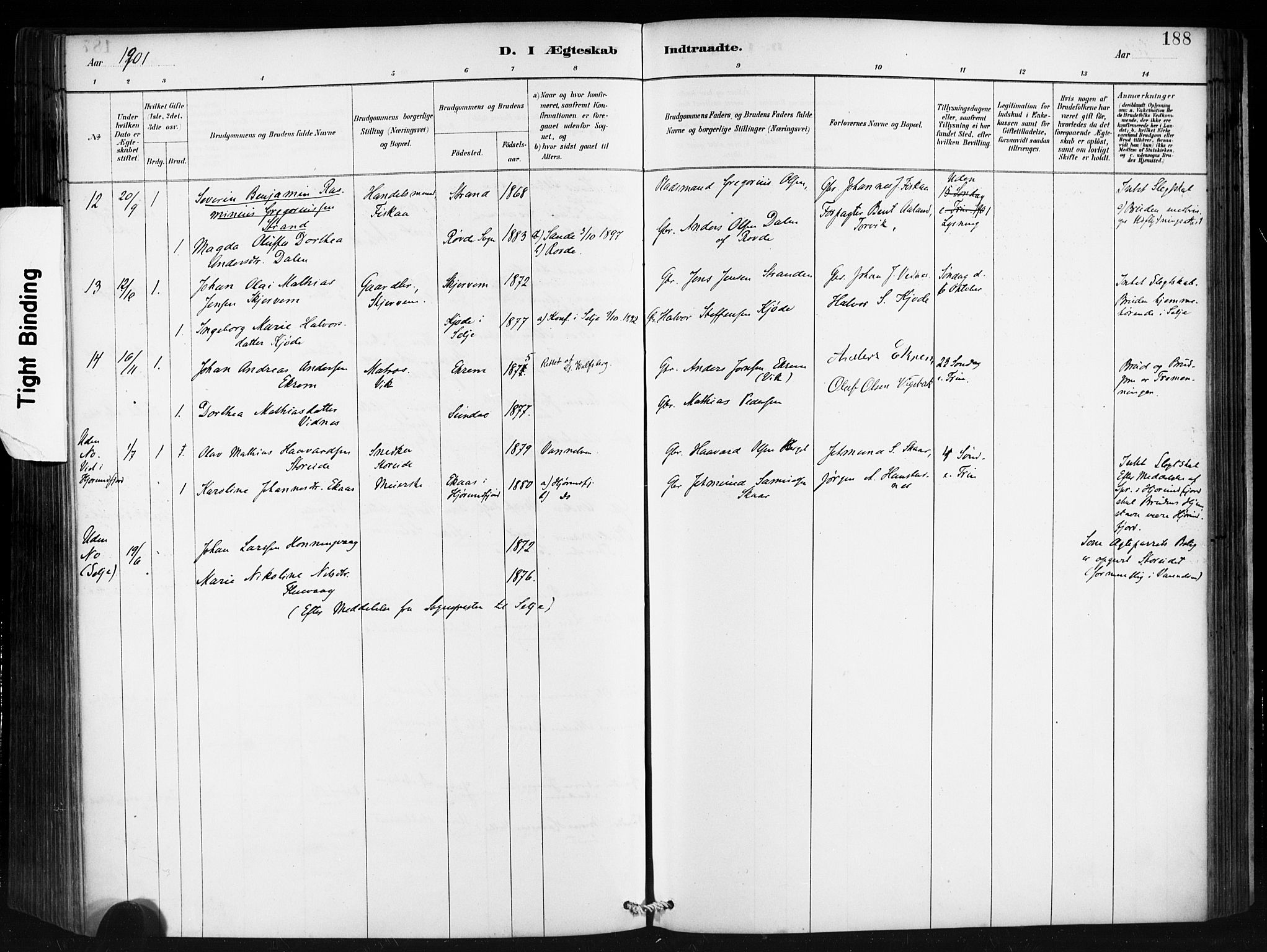 Ministerialprotokoller, klokkerbøker og fødselsregistre - Møre og Romsdal, AV/SAT-A-1454/501/L0008: Parish register (official) no. 501A08, 1885-1901, p. 188