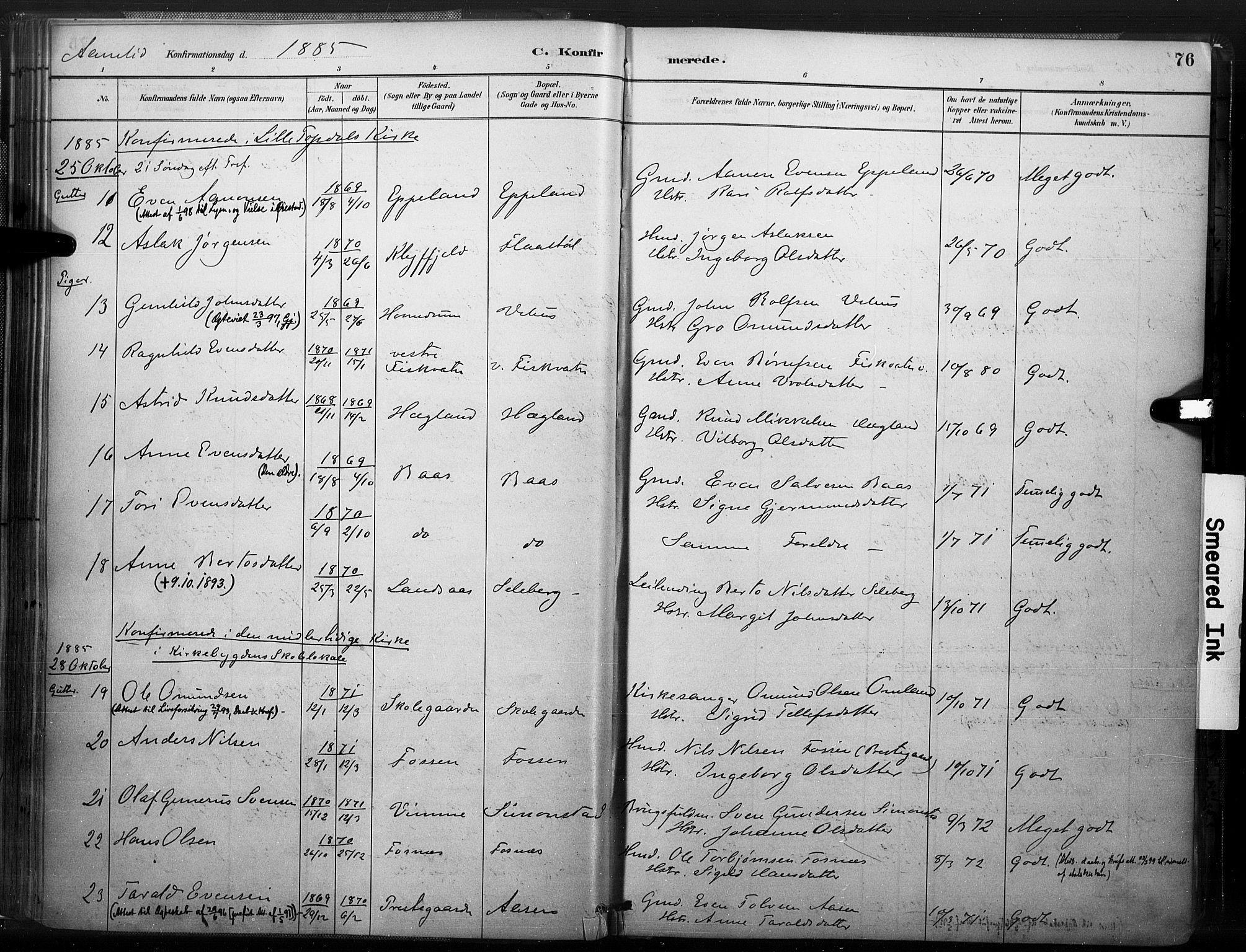 Åmli sokneprestkontor, AV/SAK-1111-0050/F/Fa/Fac/L0010: Parish register (official) no. A 10 /1, 1885-1899, p. 76