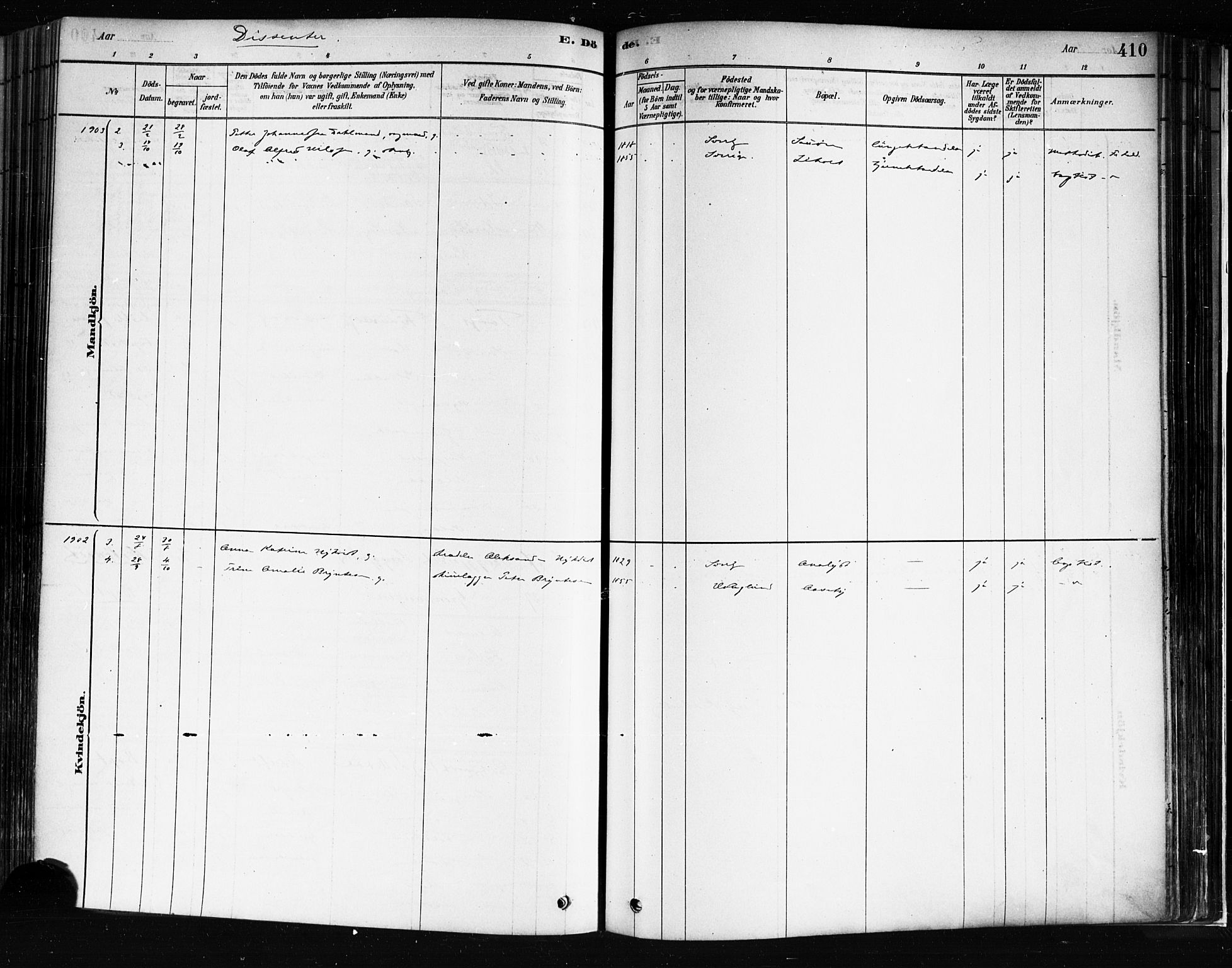 Idd prestekontor Kirkebøker, AV/SAO-A-10911/F/Fc/L0006b: Parish register (official) no. III 6B, 1878-1903, p. 410