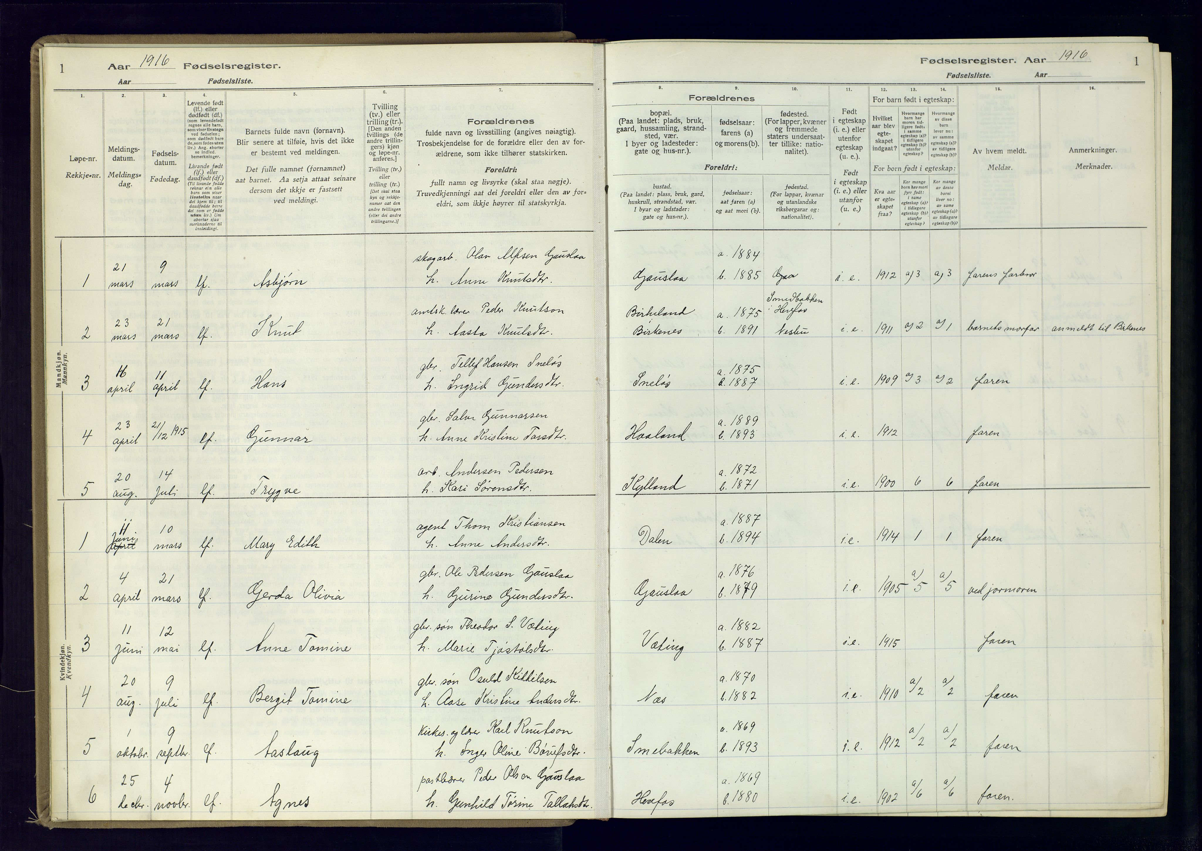 Herefoss sokneprestkontor, AV/SAK-1111-0019/J/Ja/L0001: Birth register no. II.6.10, 1916-1982, p. 1