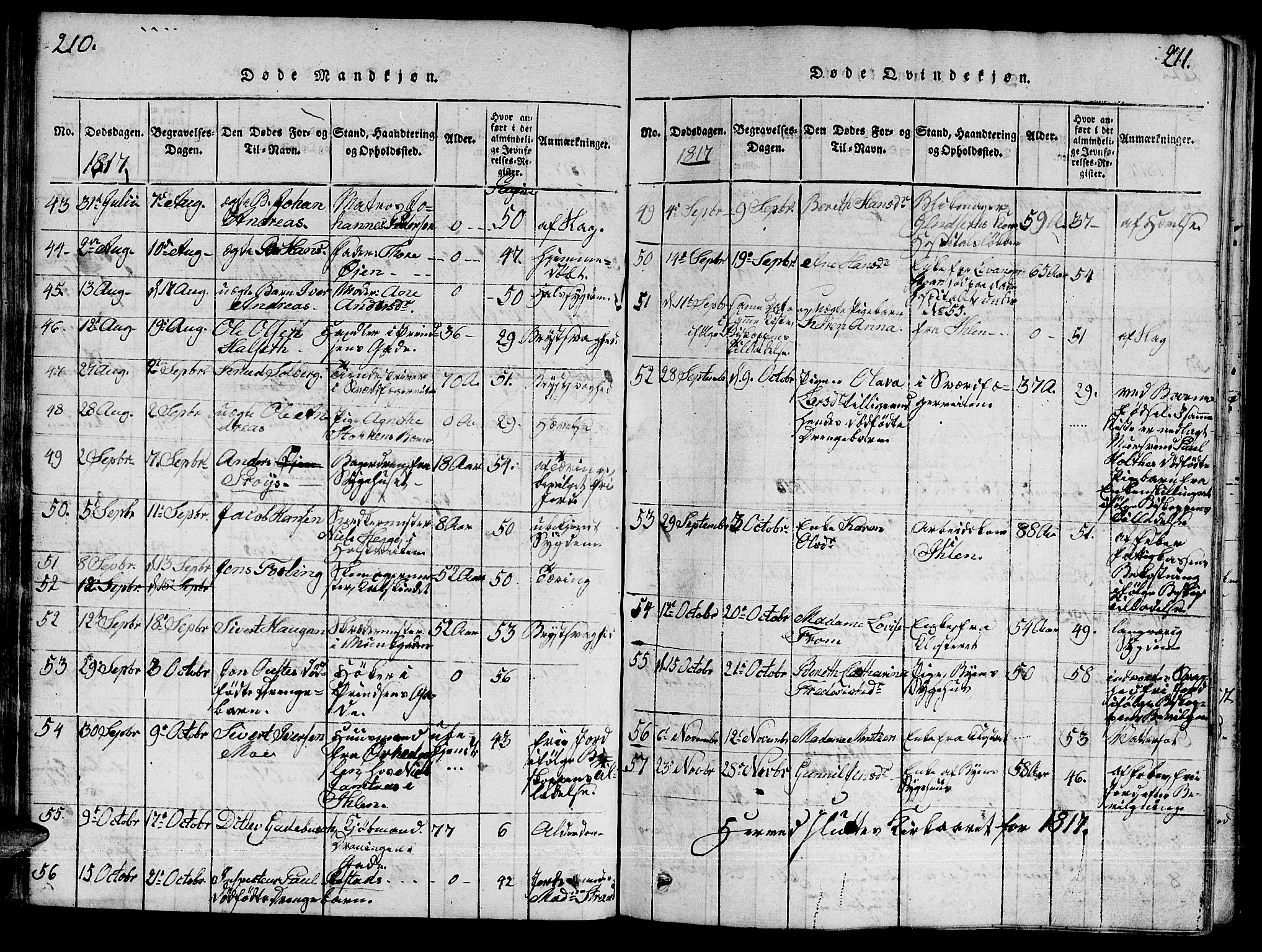 Ministerialprotokoller, klokkerbøker og fødselsregistre - Sør-Trøndelag, AV/SAT-A-1456/601/L0043: Parish register (official) no. 601A11, 1815-1821, p. 210-211