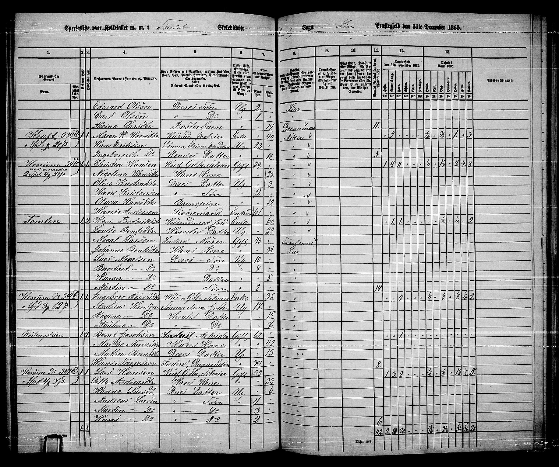 RA, 1865 census for Lier, 1865, p. 180