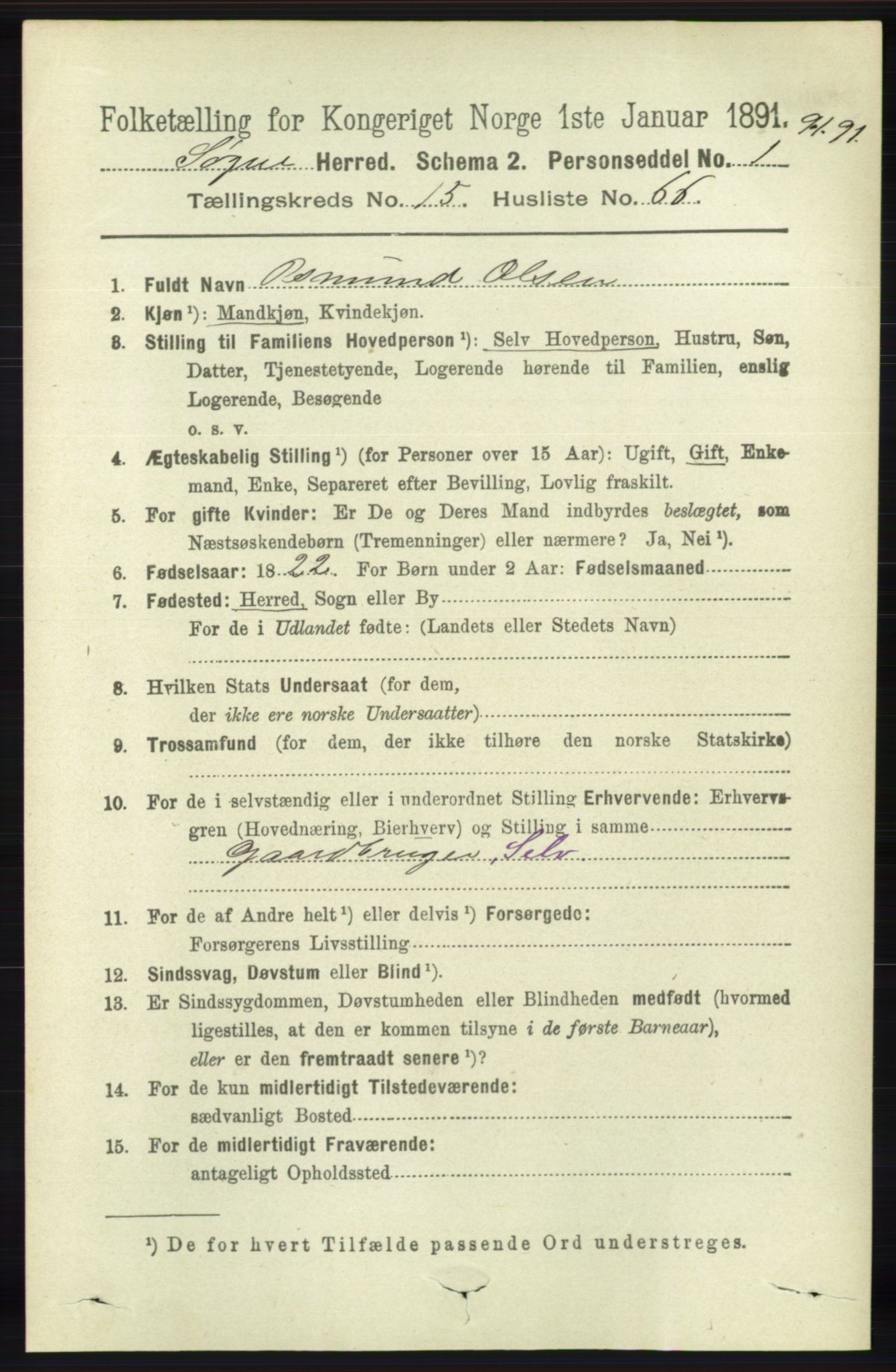 RA, 1891 census for 1018 Søgne, 1891, p. 4214