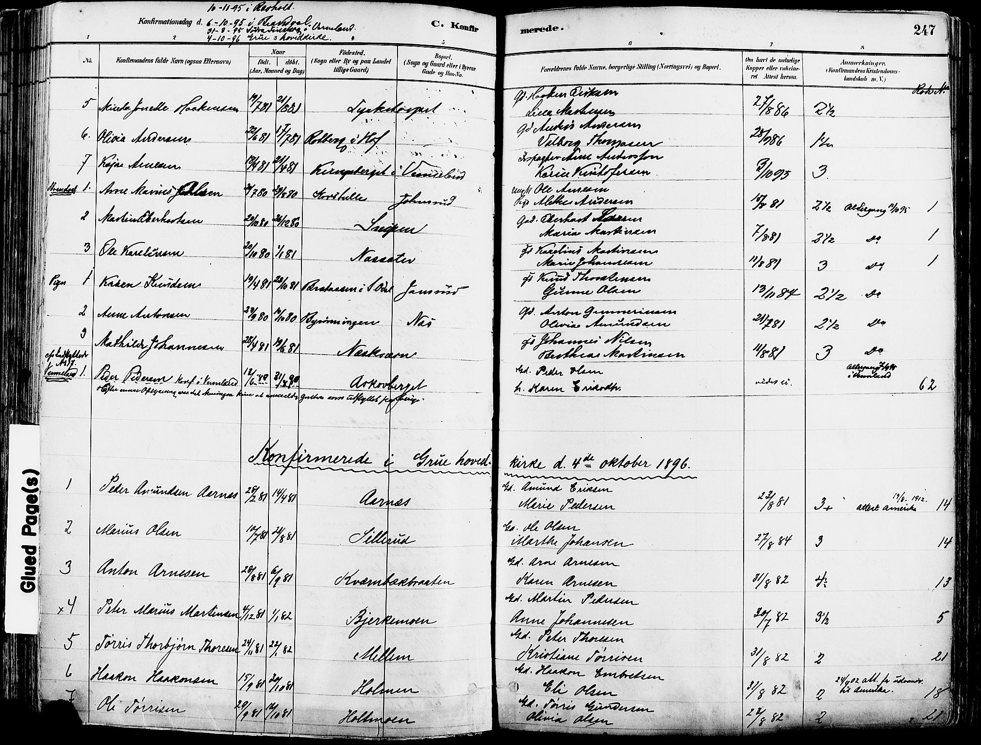 Grue prestekontor, SAH/PREST-036/H/Ha/Haa/L0012: Parish register (official) no. 12, 1881-1897, p. 247