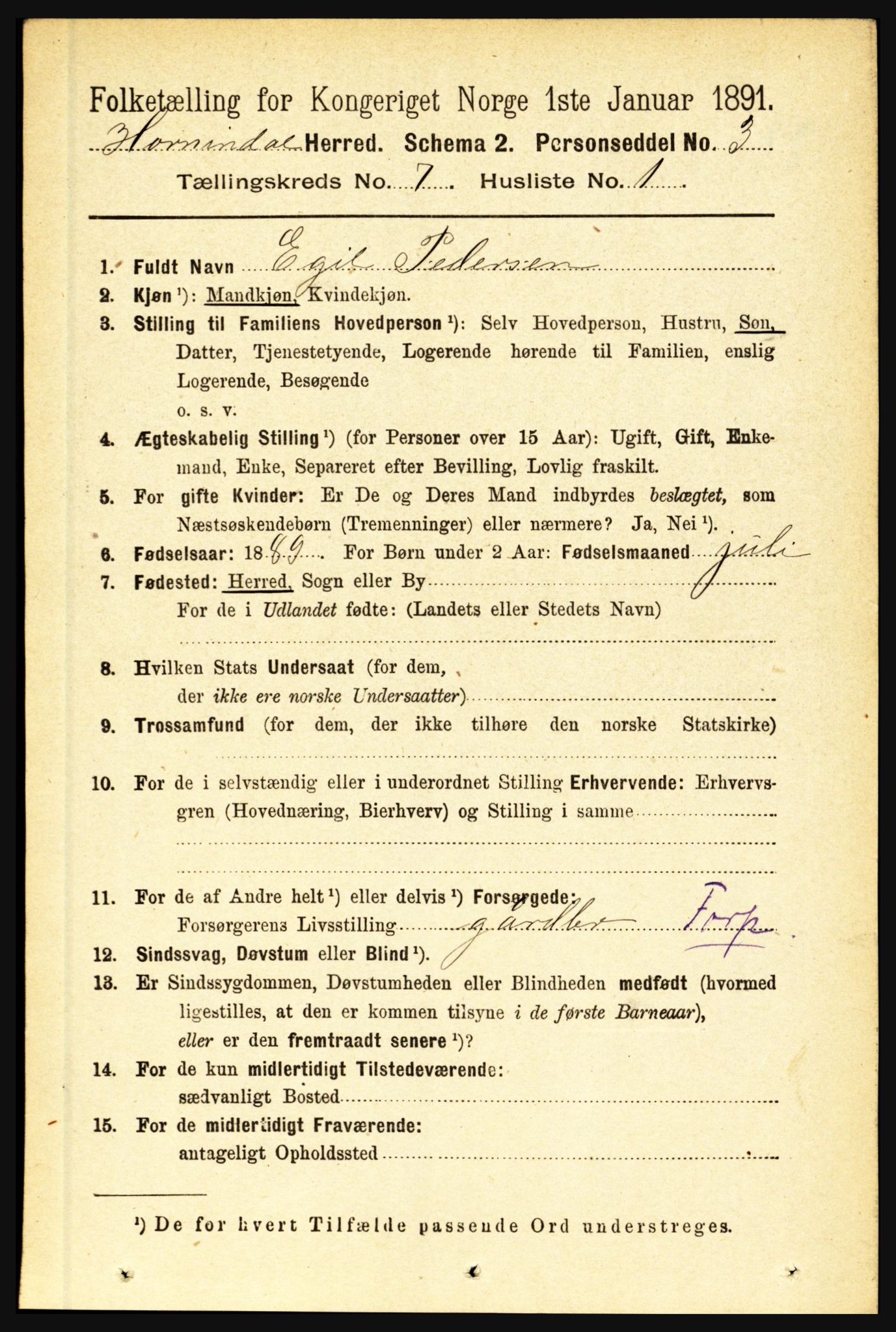 RA, 1891 census for 1444 Hornindal, 1891, p. 1749