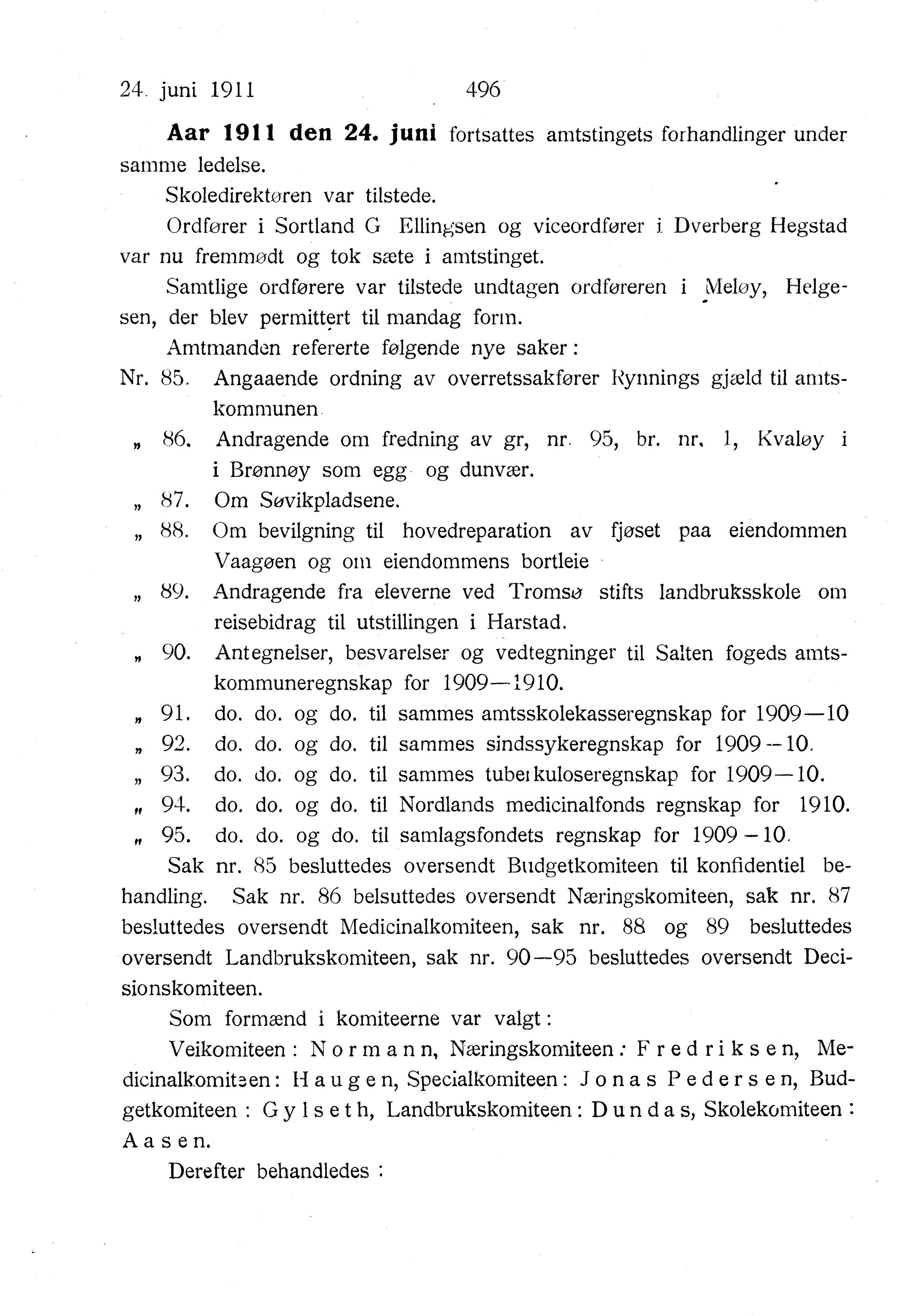 Nordland Fylkeskommune. Fylkestinget, AIN/NFK-17/176/A/Ac/L0034: Fylkestingsforhandlinger 1911, 1911, p. 496