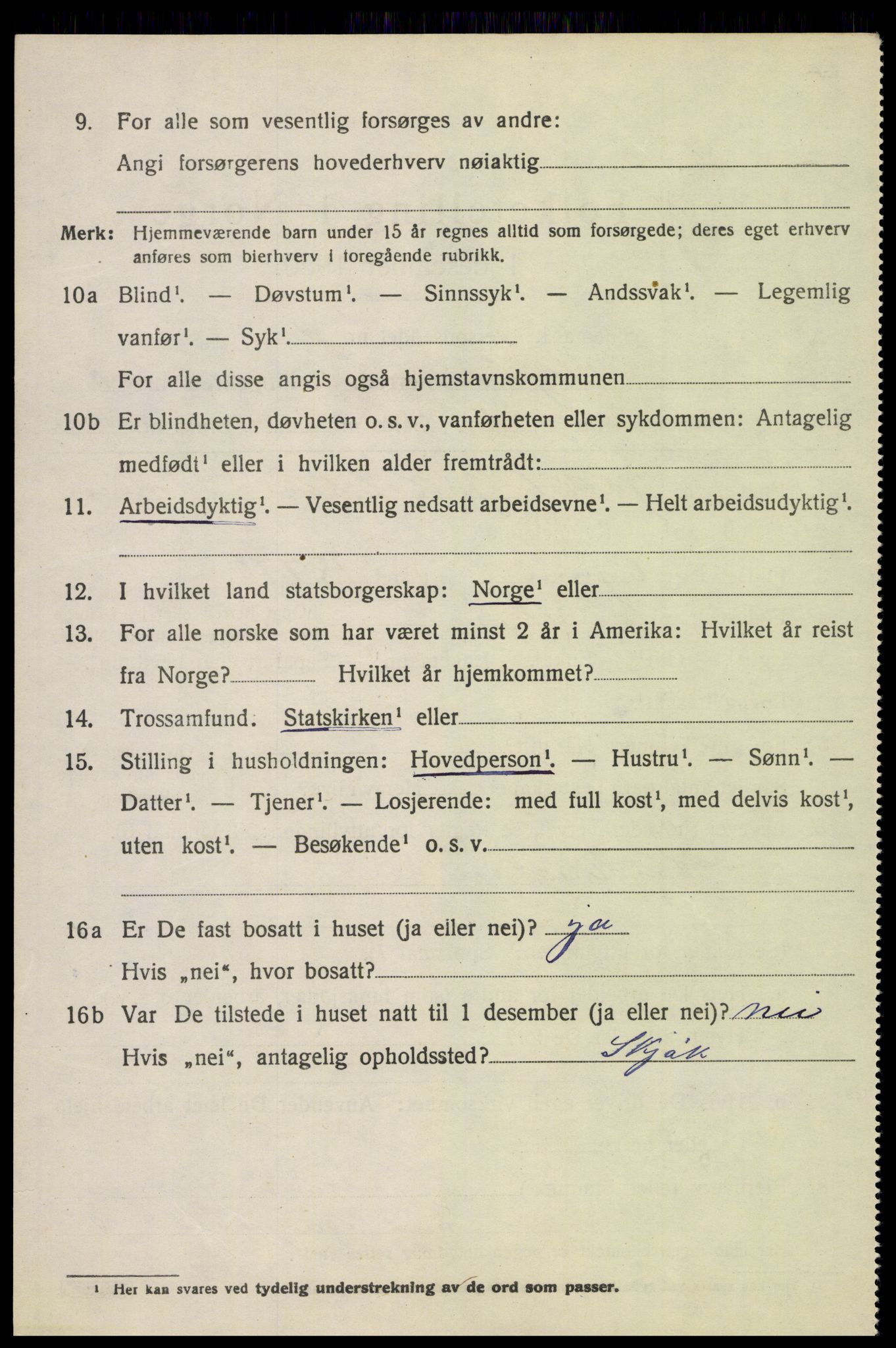 SAH, 1920 census for Skjåk, 1920, p. 3719