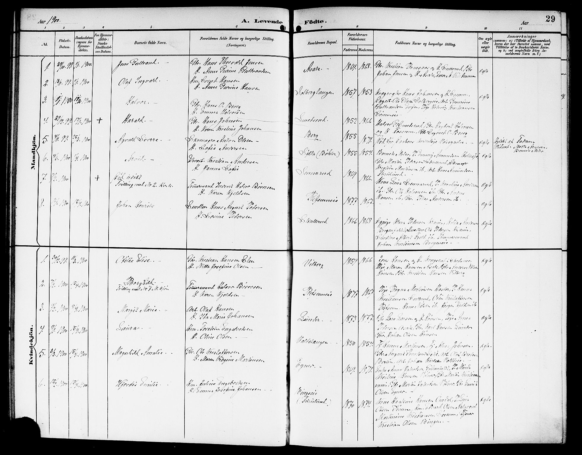 Sørum prestekontor Kirkebøker, SAO/A-10303/G/Ga/L0006: Parish register (copy) no. I 6, 1894-1906, p. 29