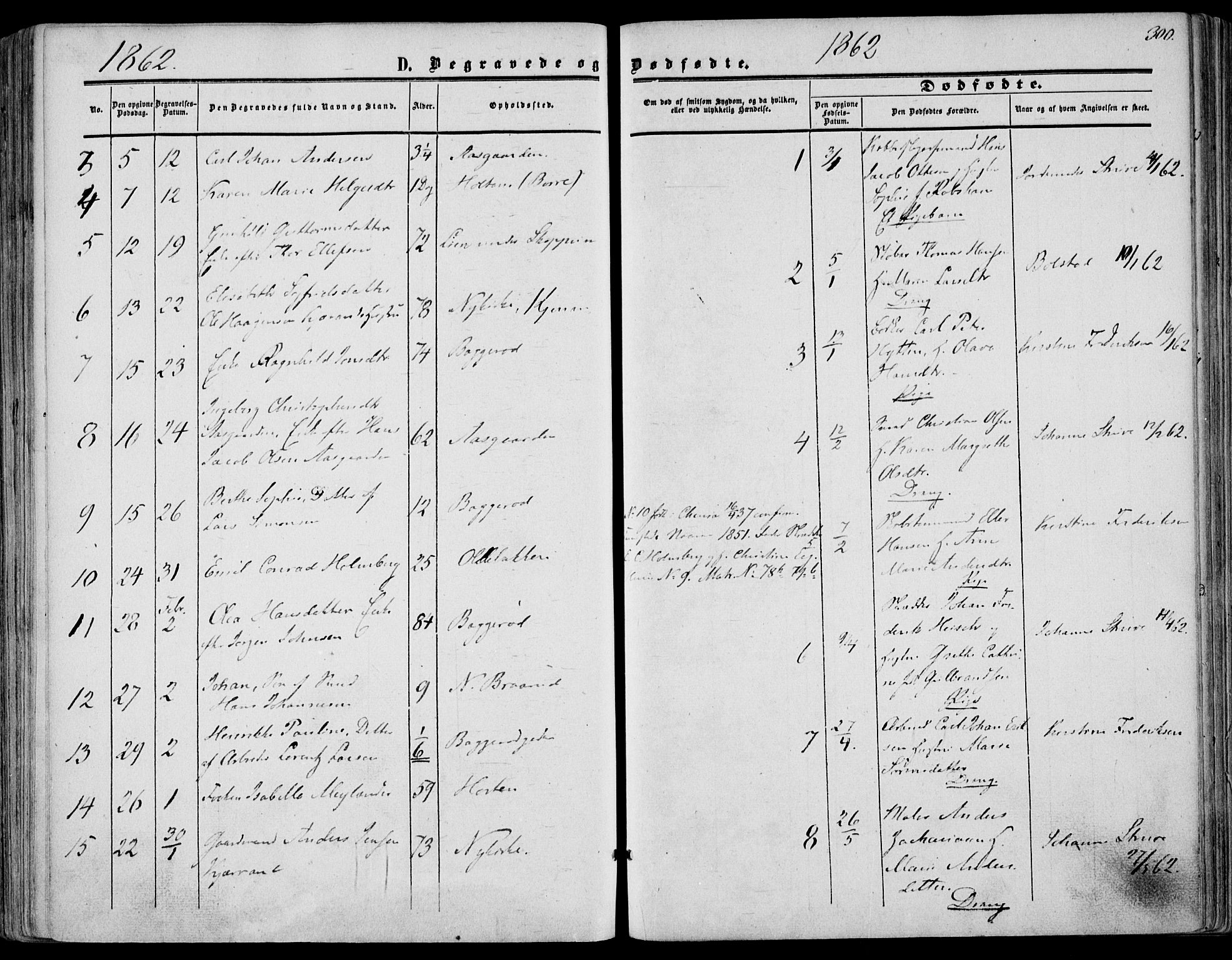 Borre kirkebøker, AV/SAKO-A-338/F/Fa/L0006: Parish register (official) no. I 6, 1852-1862, p. 300