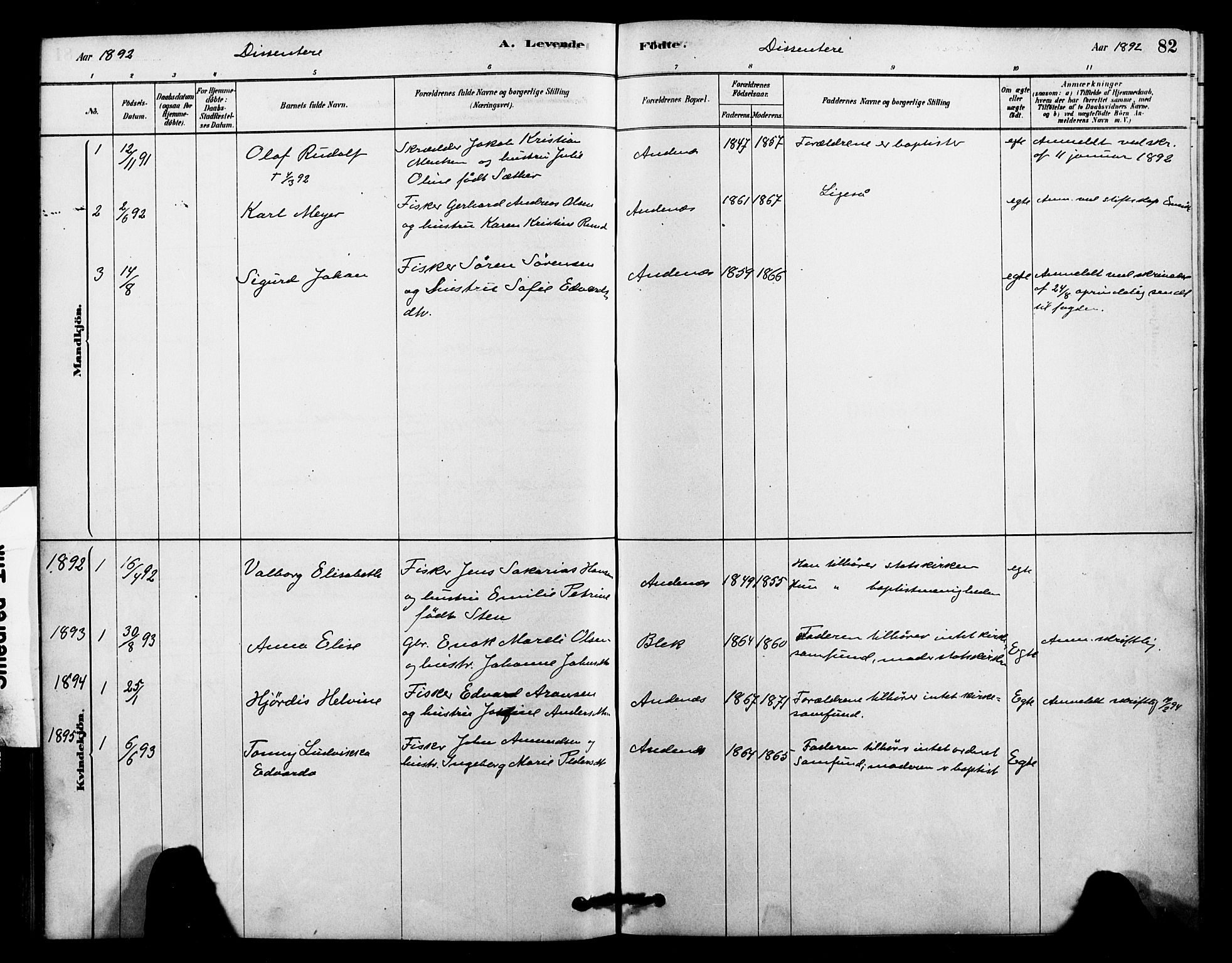 Ministerialprotokoller, klokkerbøker og fødselsregistre - Nordland, AV/SAT-A-1459/899/L1436: Parish register (official) no. 899A04, 1881-1896, p. 82