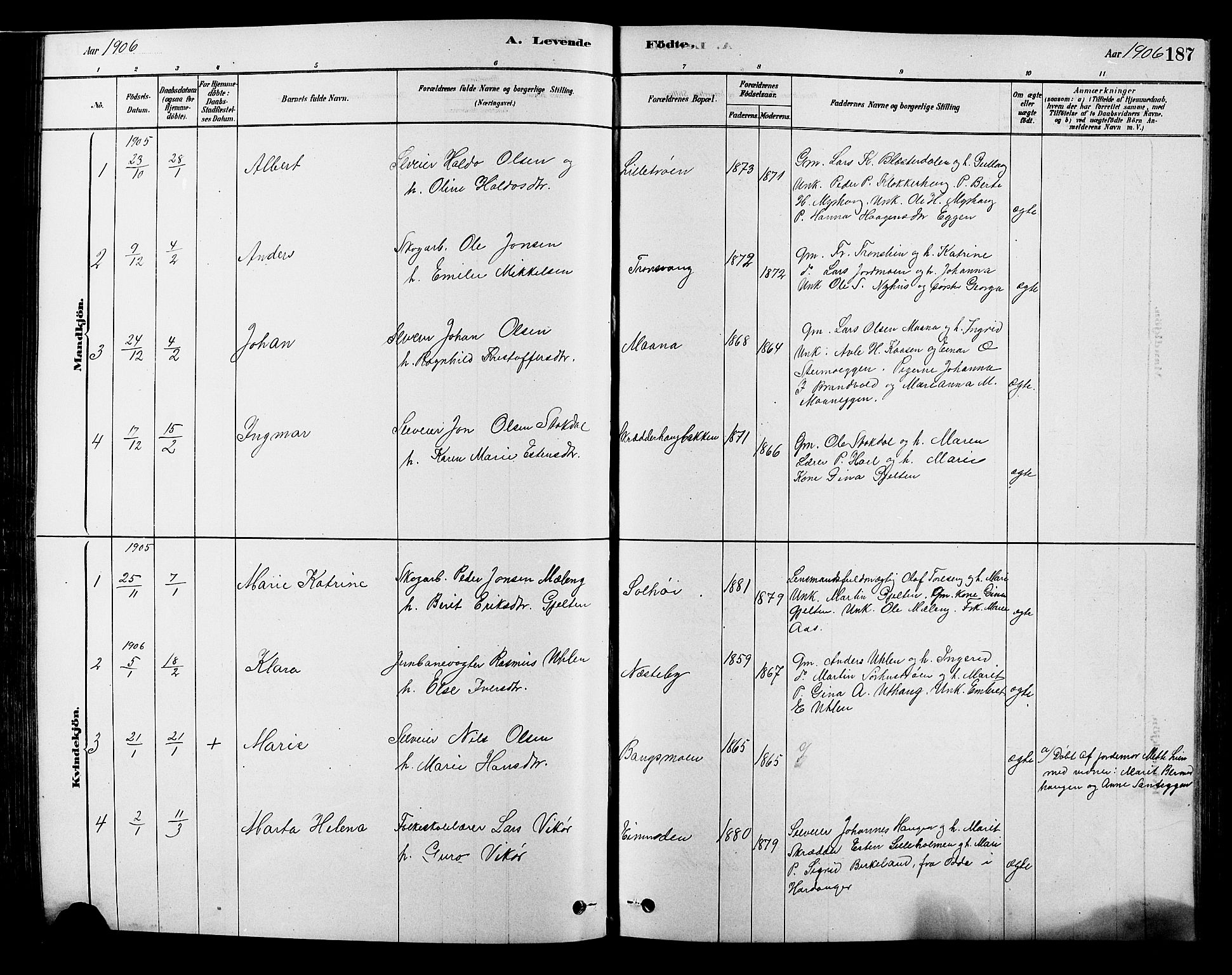 Alvdal prestekontor, AV/SAH-PREST-060/H/Ha/Hab/L0003: Parish register (copy) no. 3, 1878-1907, p. 187