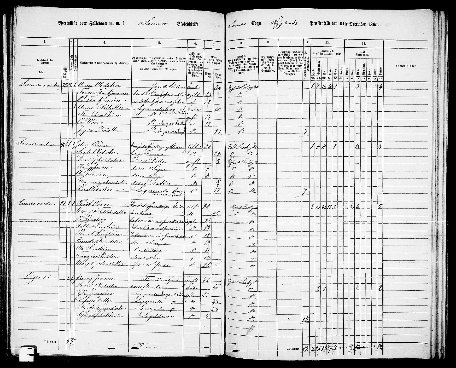 RA, 1865 census for Bygland, 1865, p. 46