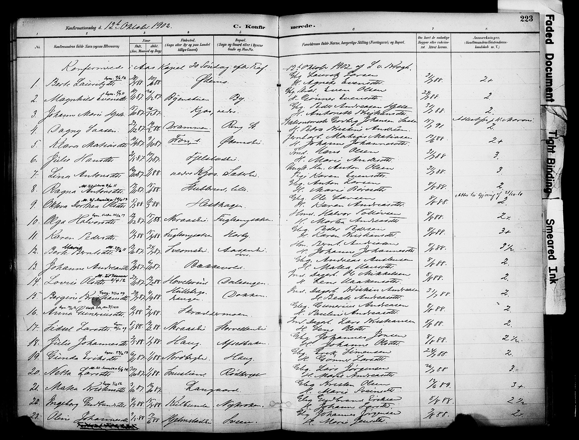 Ringsaker prestekontor, AV/SAH-PREST-014/K/Ka/L0017: Parish register (official) no. 17, 1891-1902, p. 223