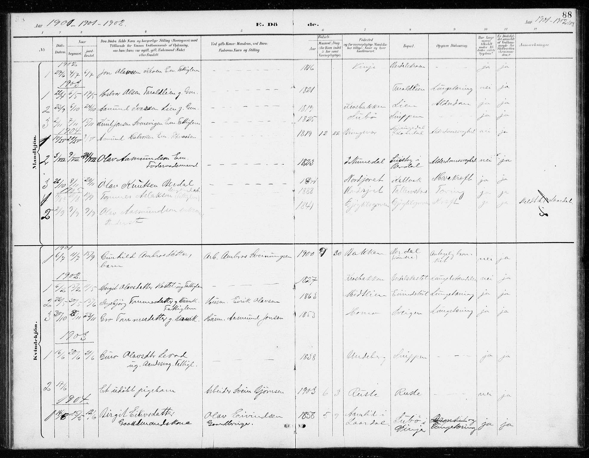 Vinje kirkebøker, AV/SAKO-A-312/G/Gb/L0003: Parish register (copy) no. II 3, 1892-1943, p. 88